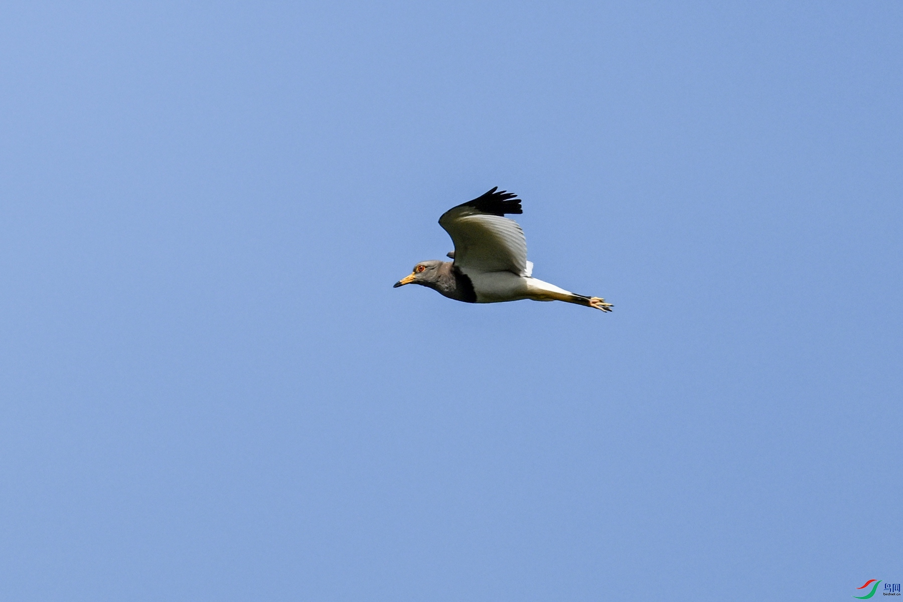 DSC_5283.JPG