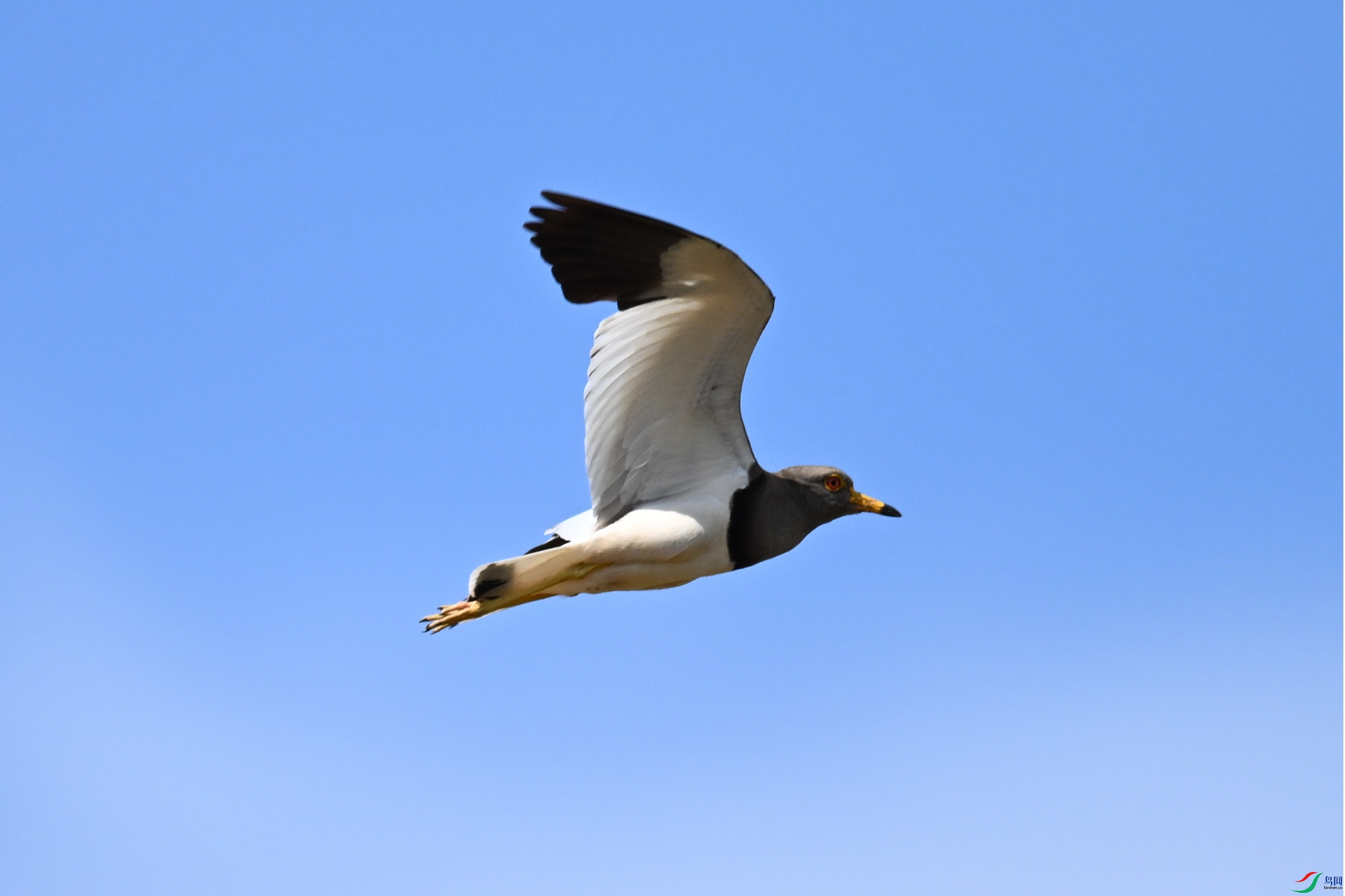 DSC_5320.JPG