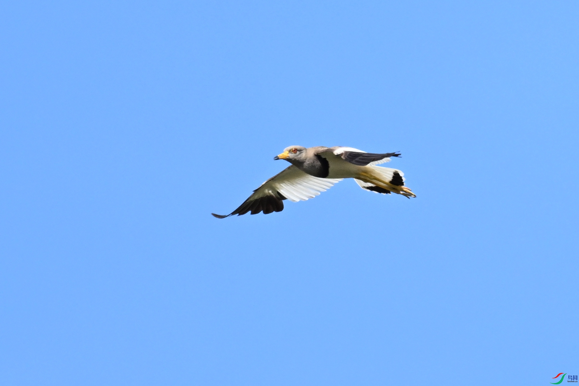 DSC_5322.JPG
