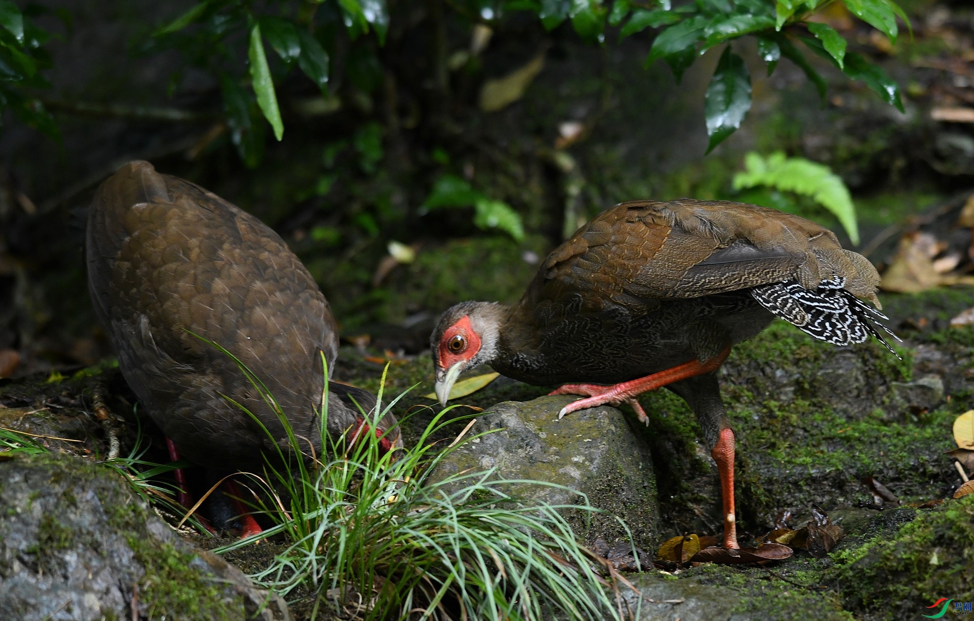 DSC_0715.jpg