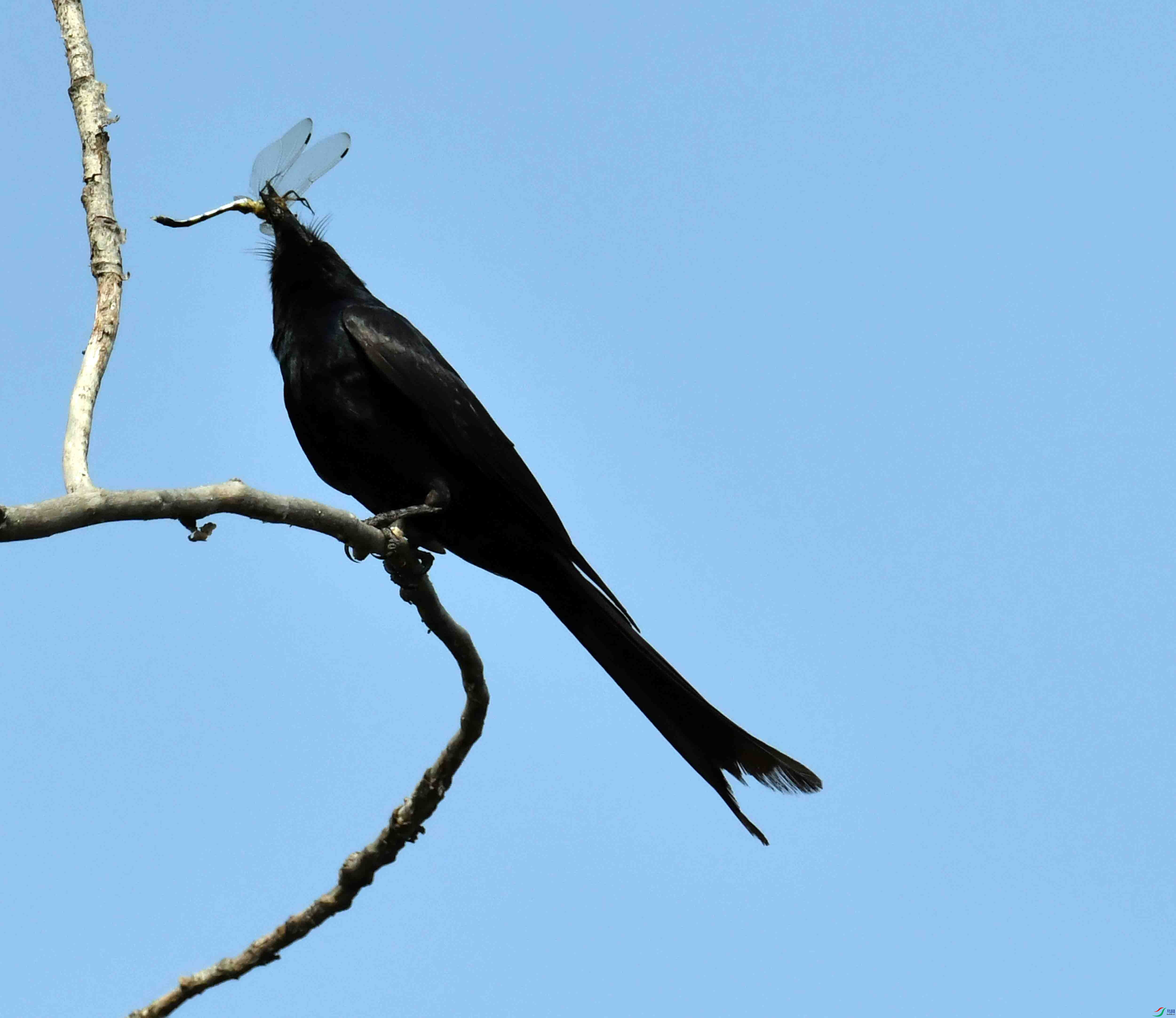 DSC_2329.JPG