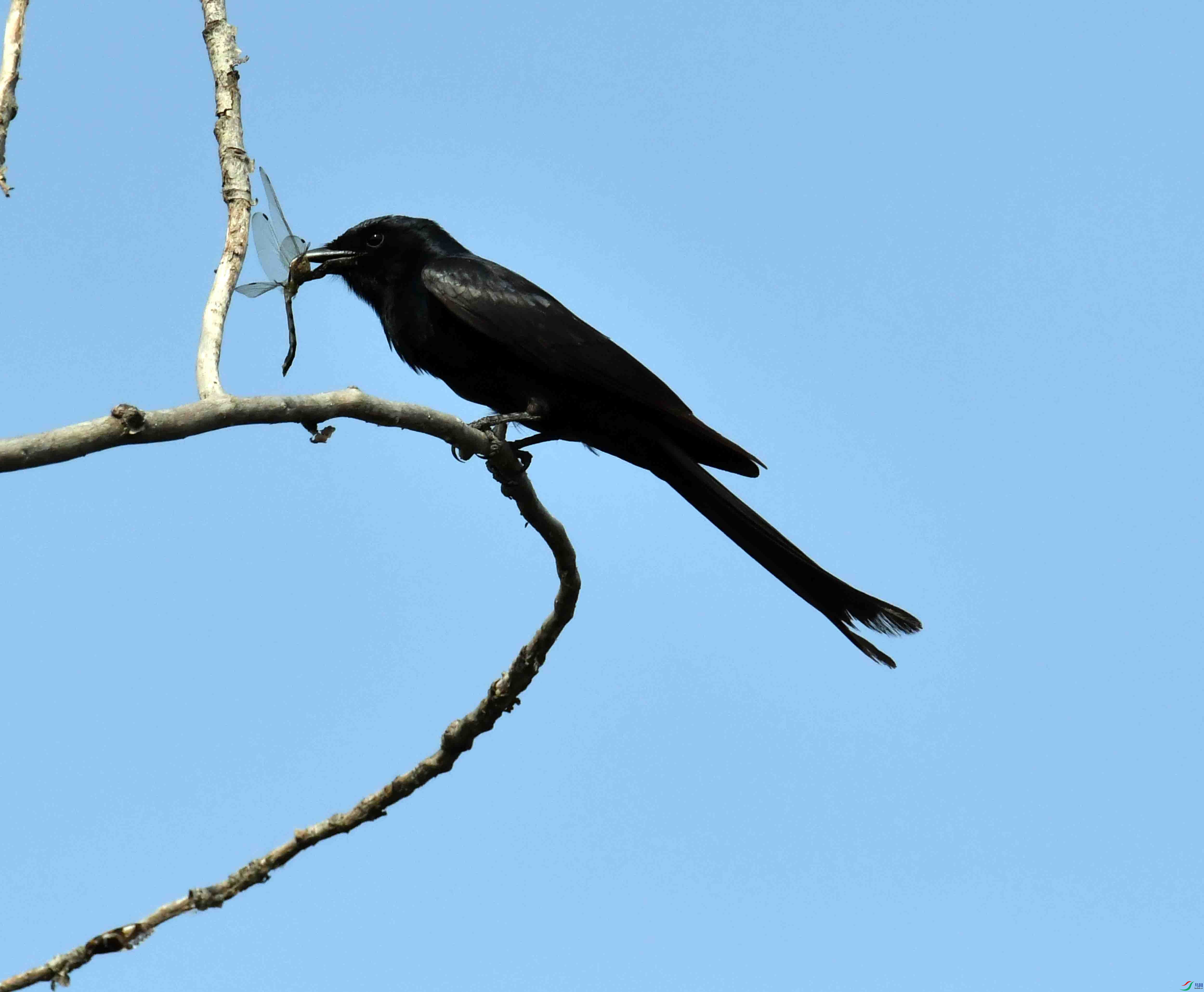 DSC_2328.JPG
