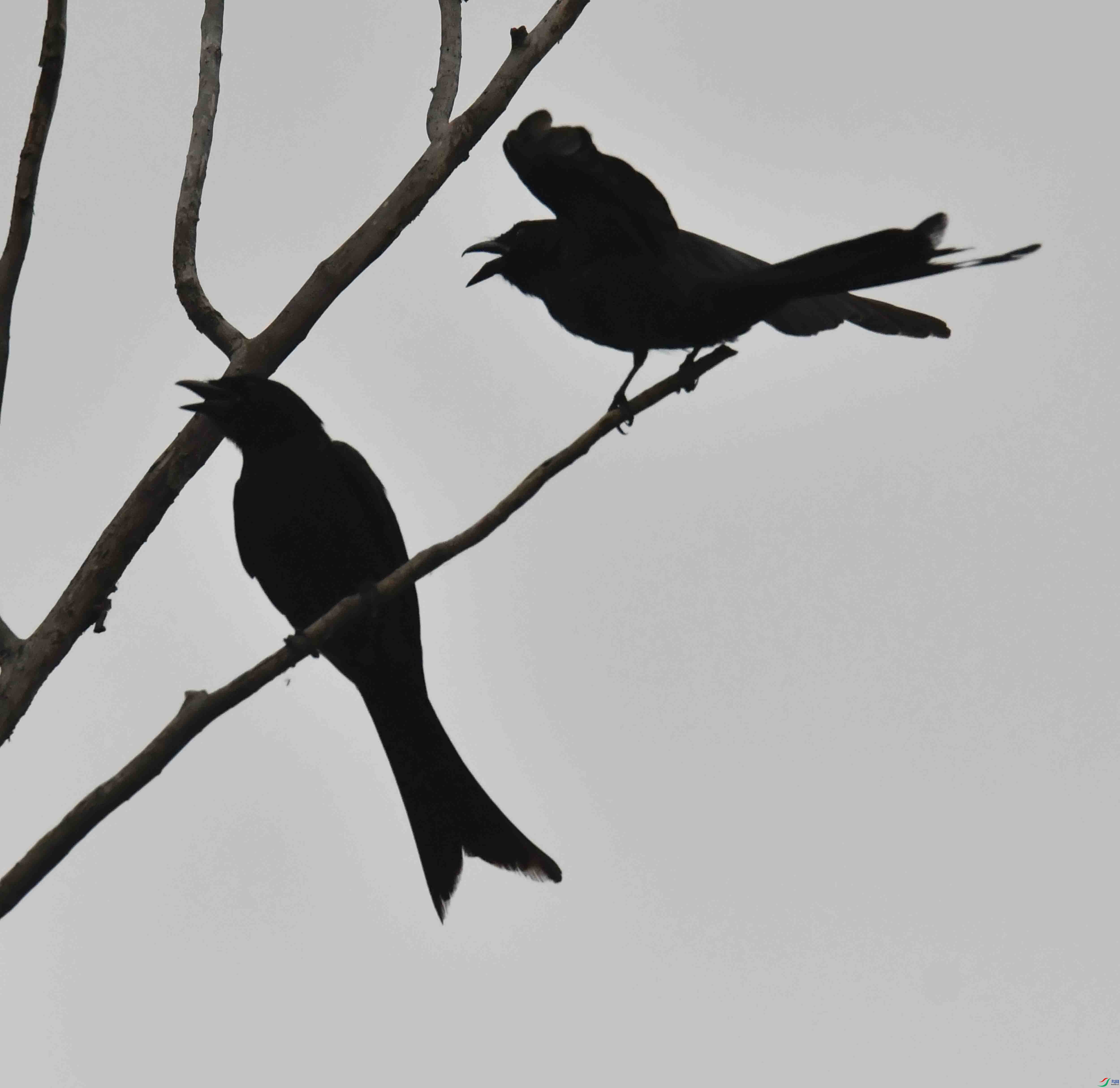 DSC_2730.JPG