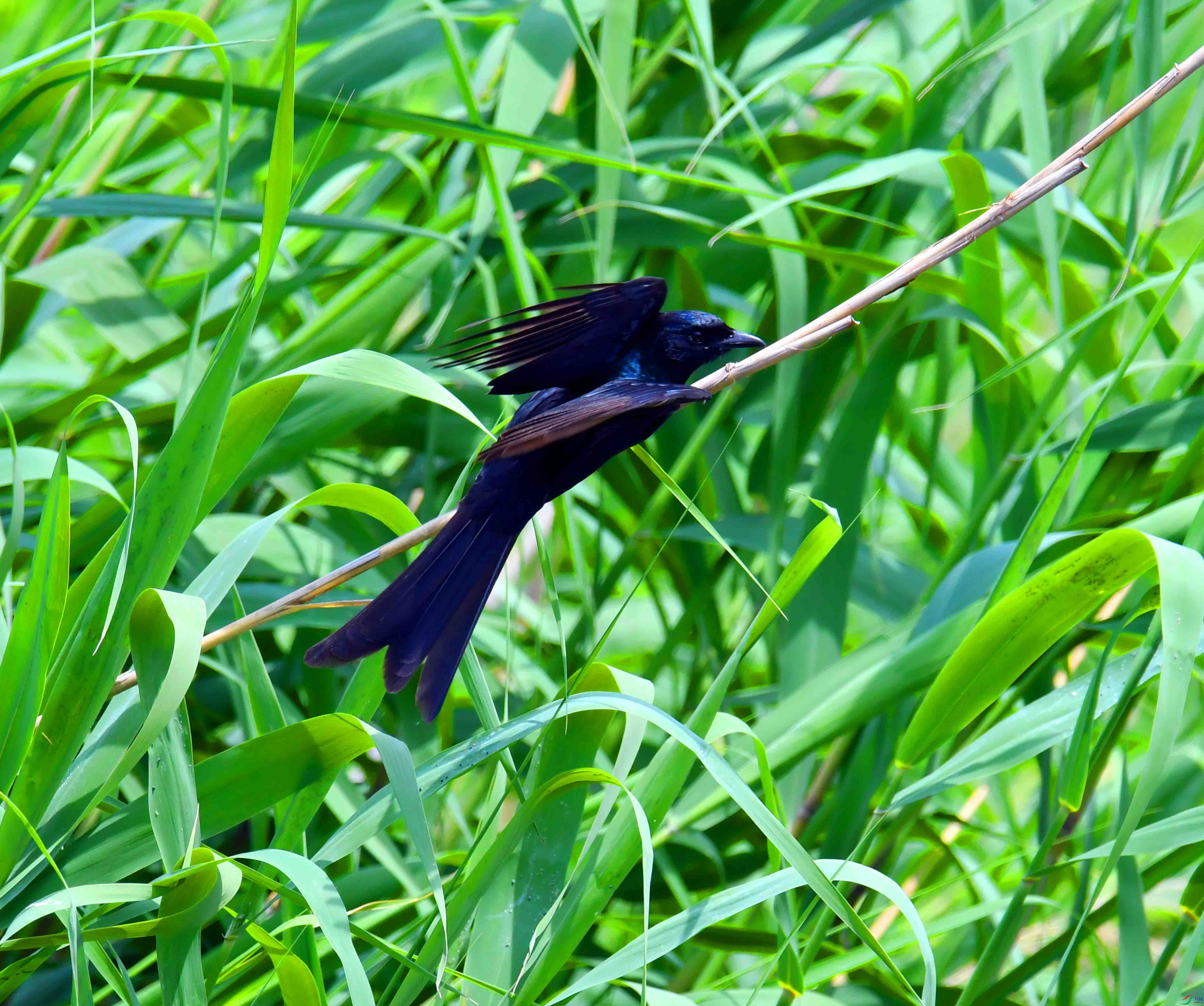DSC_5116.JPG