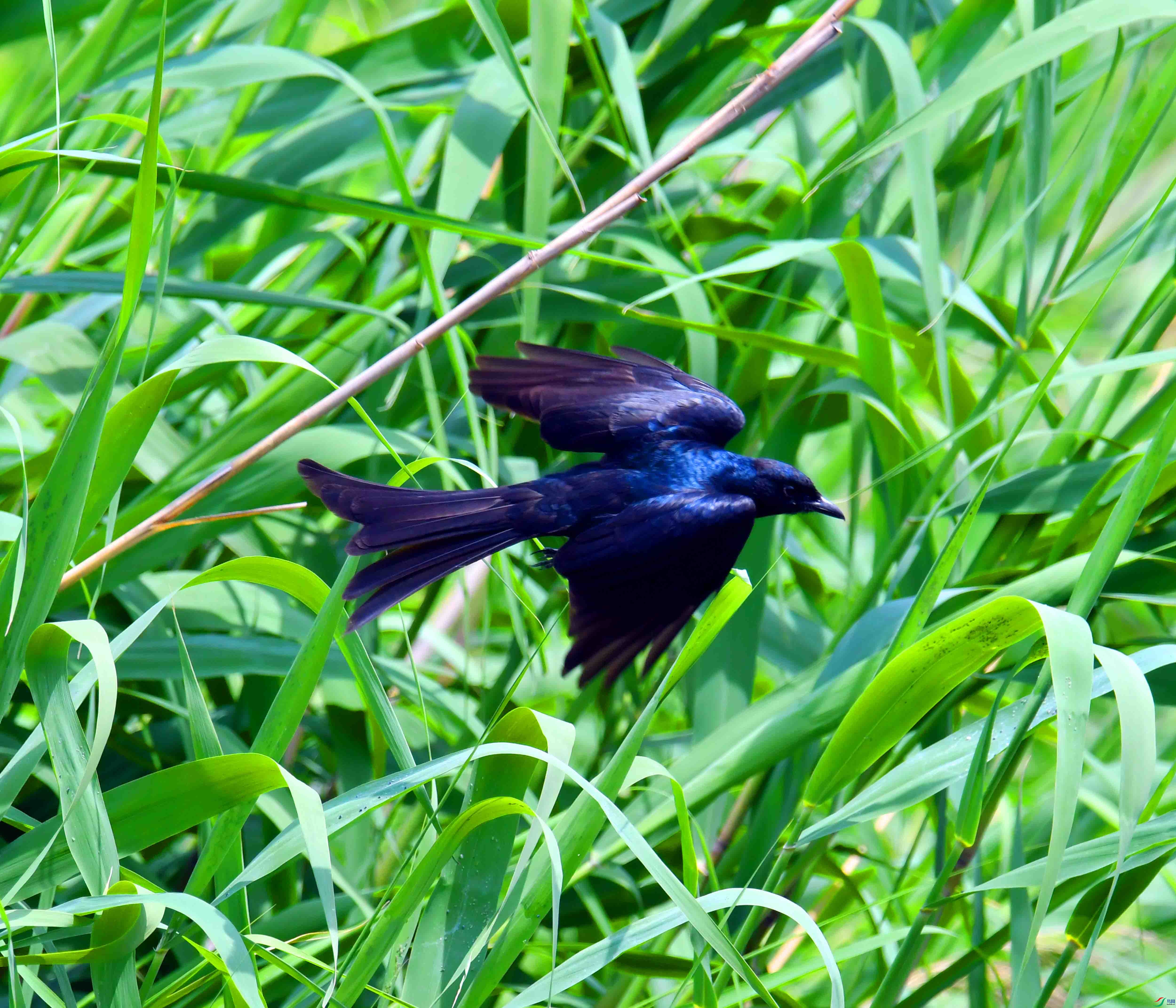 DSC_5117.JPG
