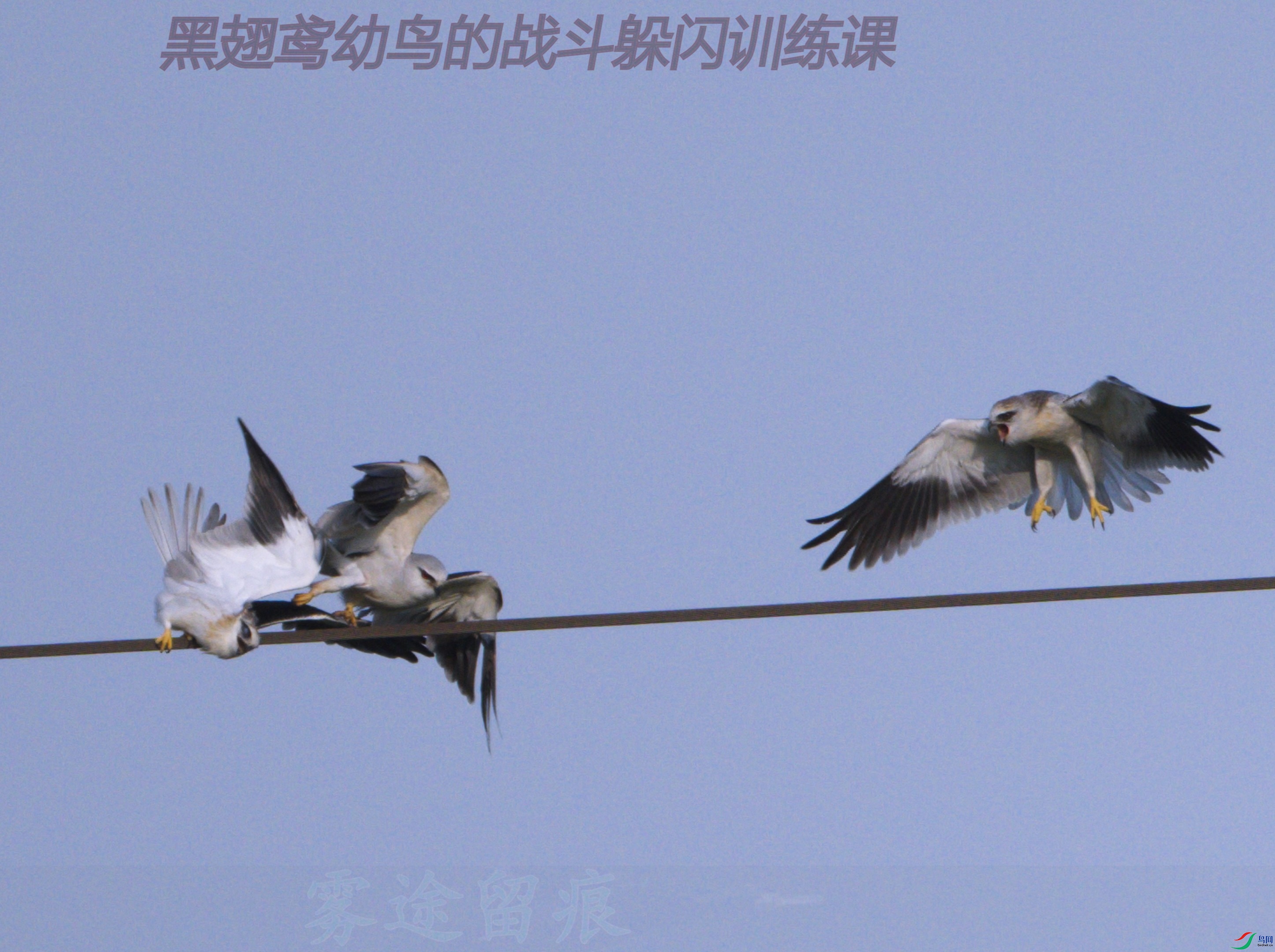 20250710�ڳ���սѵ��1.00_00_12_14.Still001.jpg