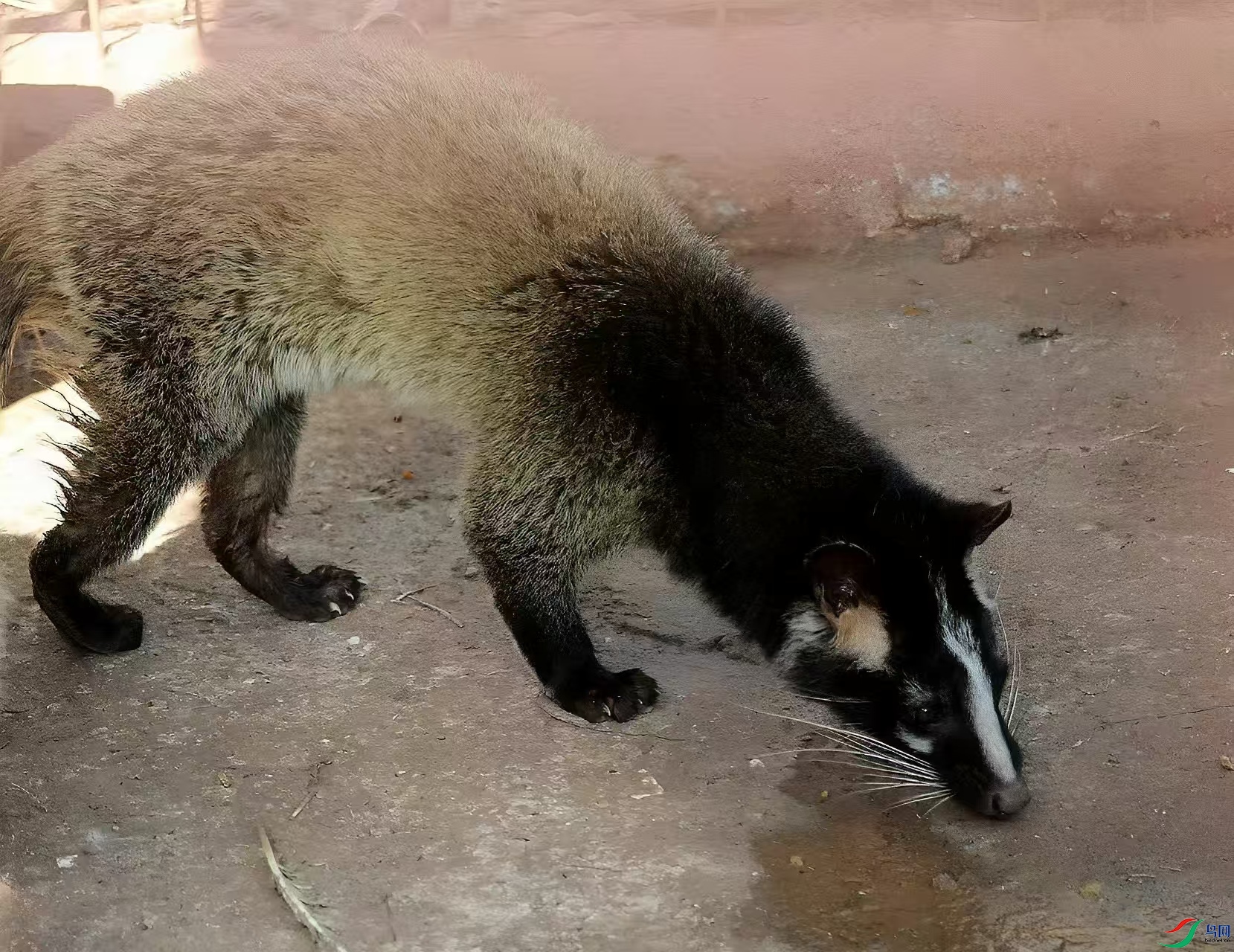 mmexport1755228937660.jpg