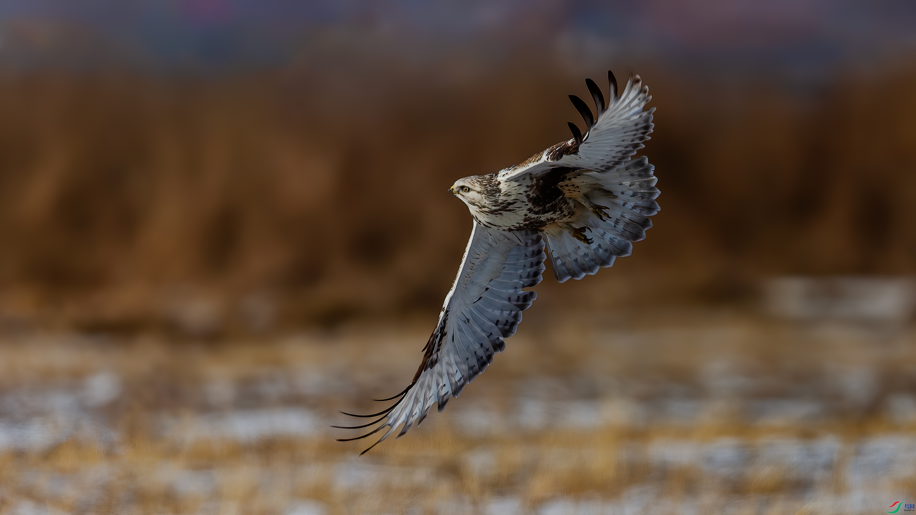 AF7V1755-1��.jpg