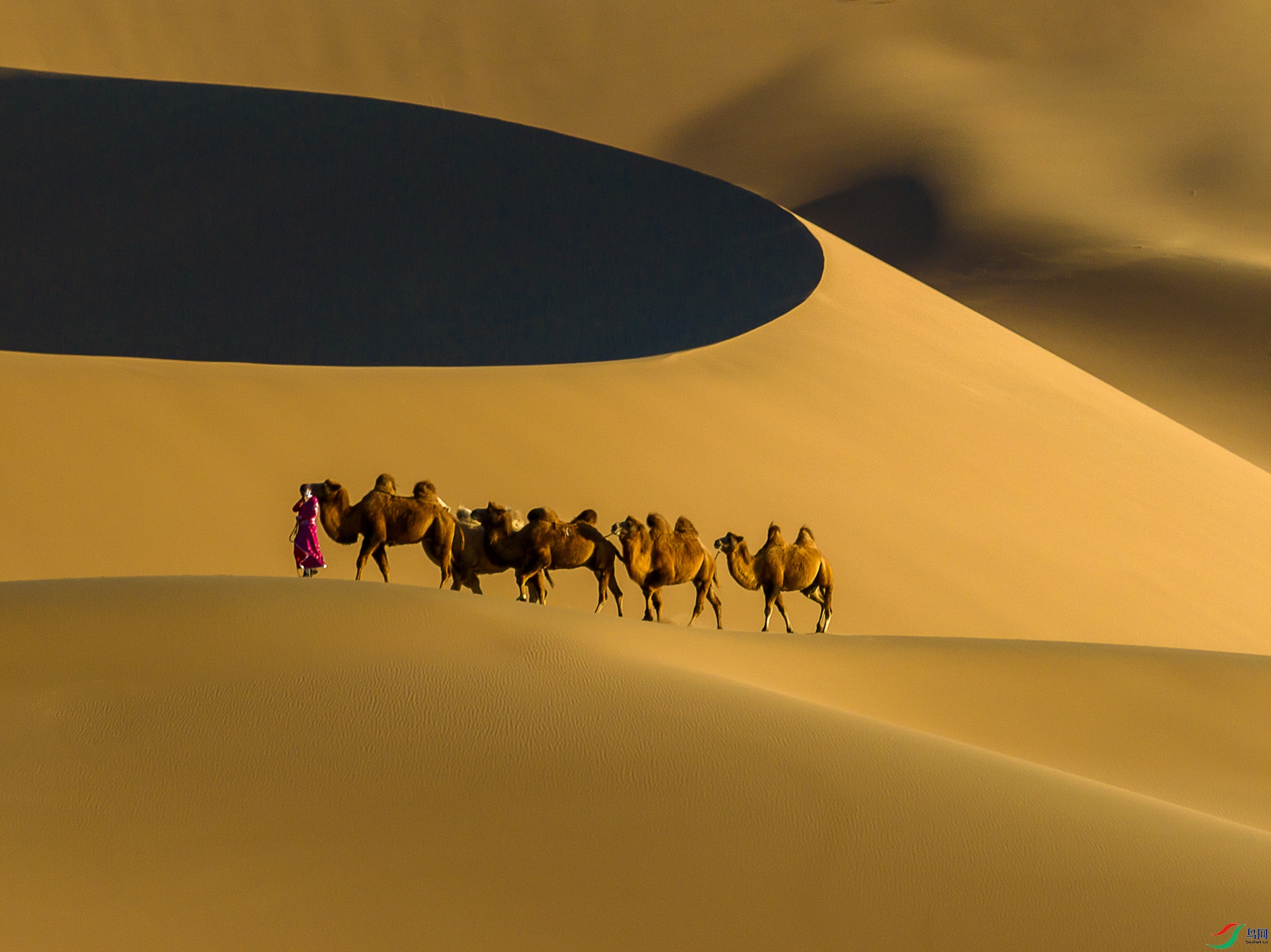 DJI_0847aa ����.jpg