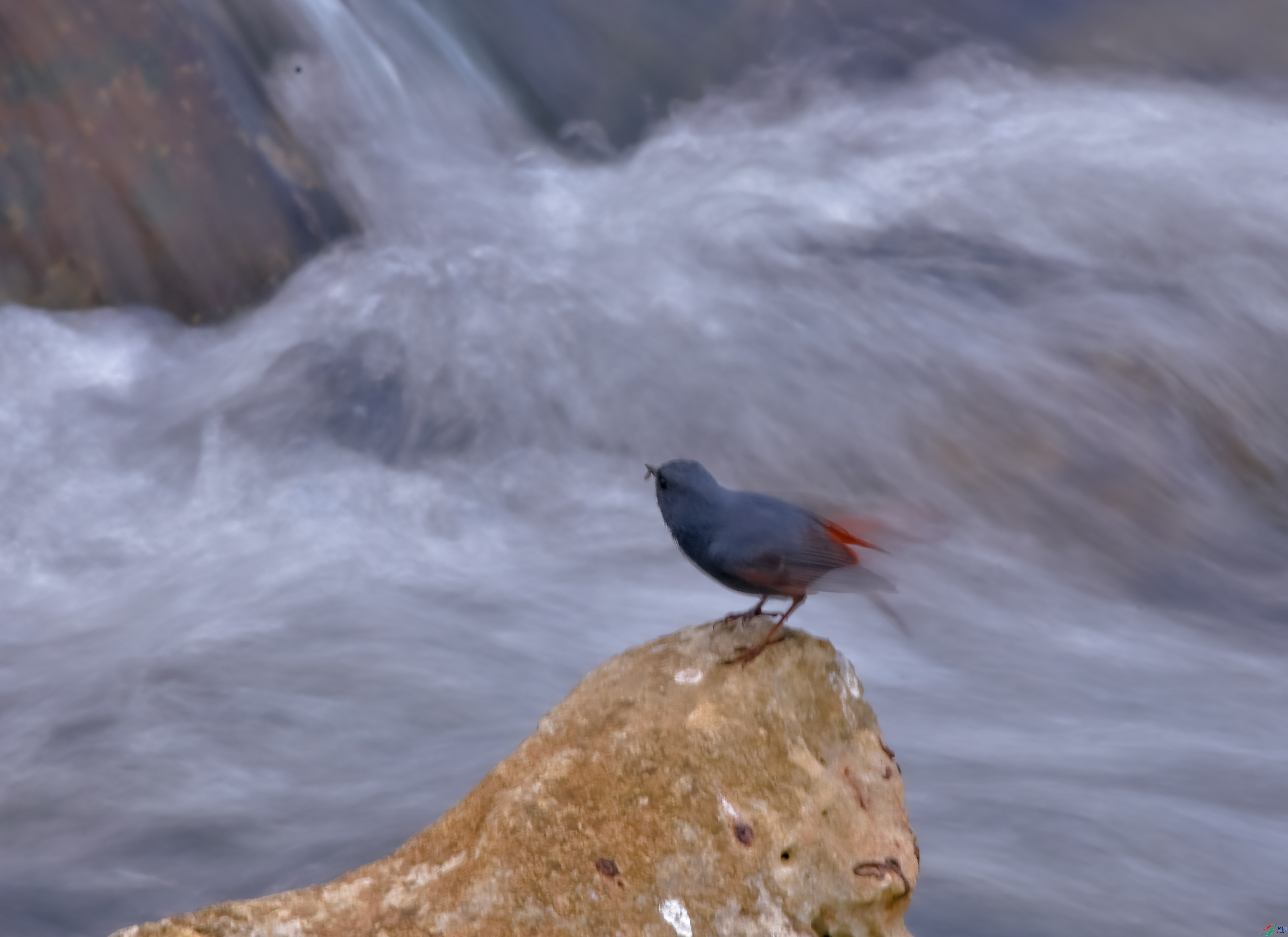 DSC_1035.JPG