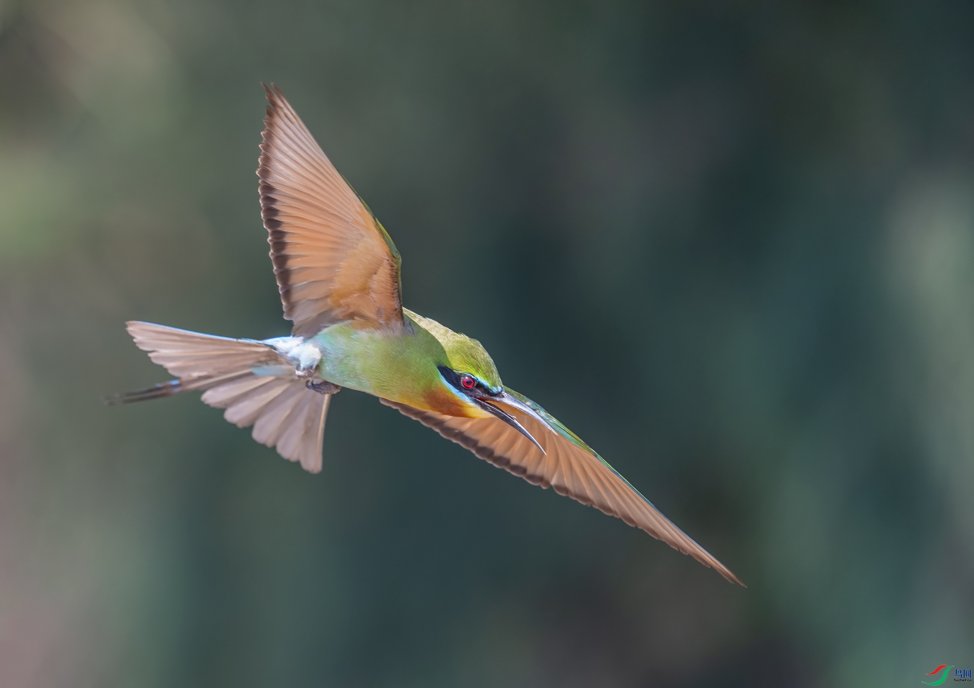 DSC_9782.jpg