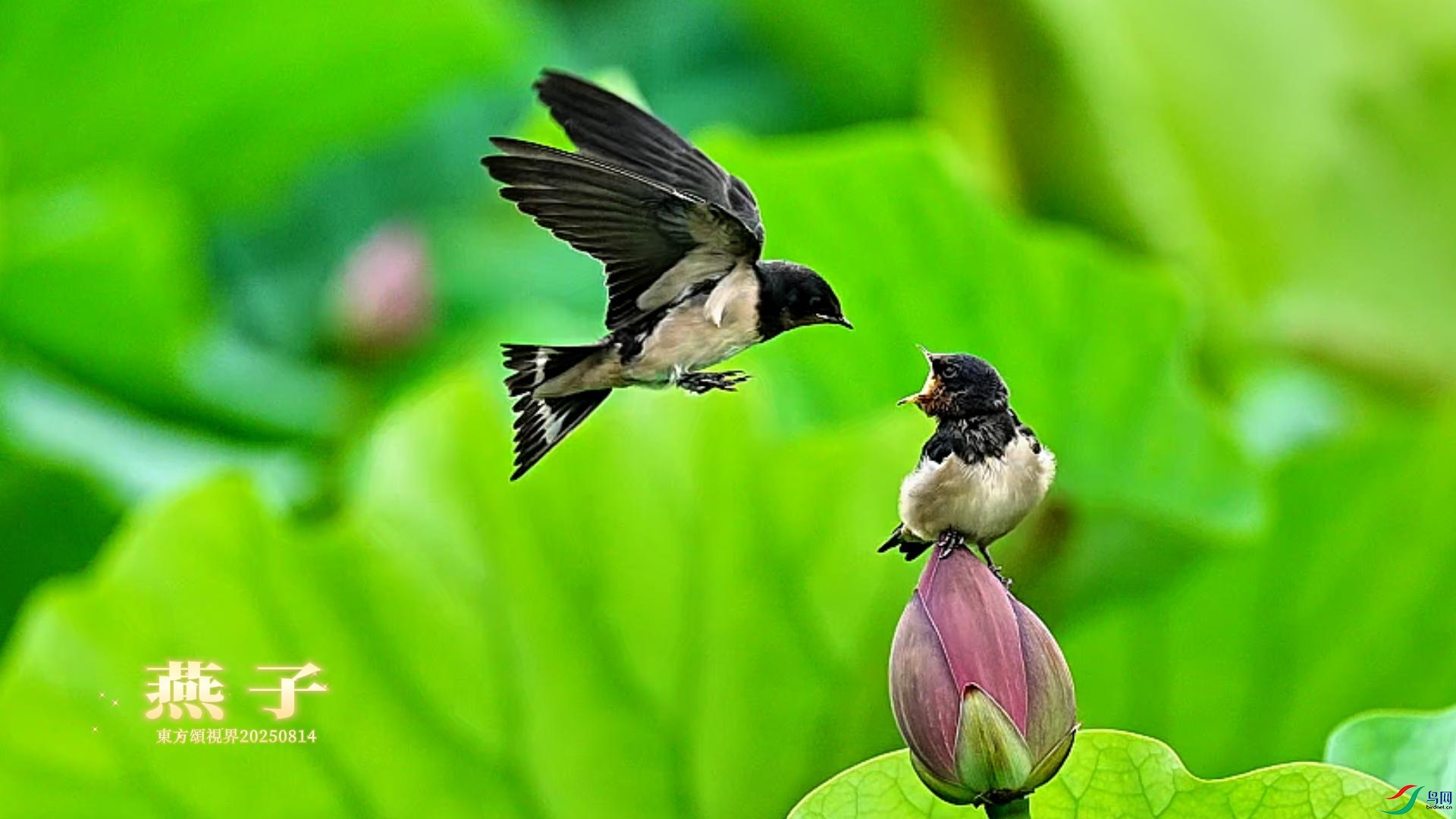 8��14�� (4)-����.jpg