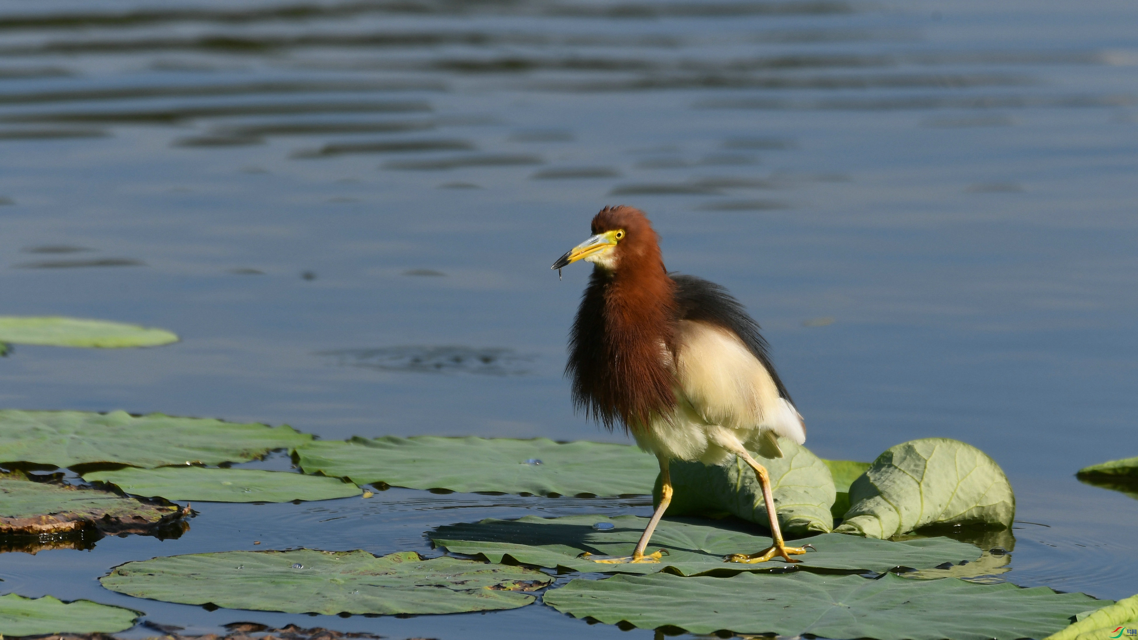 DSC_9289.JPG