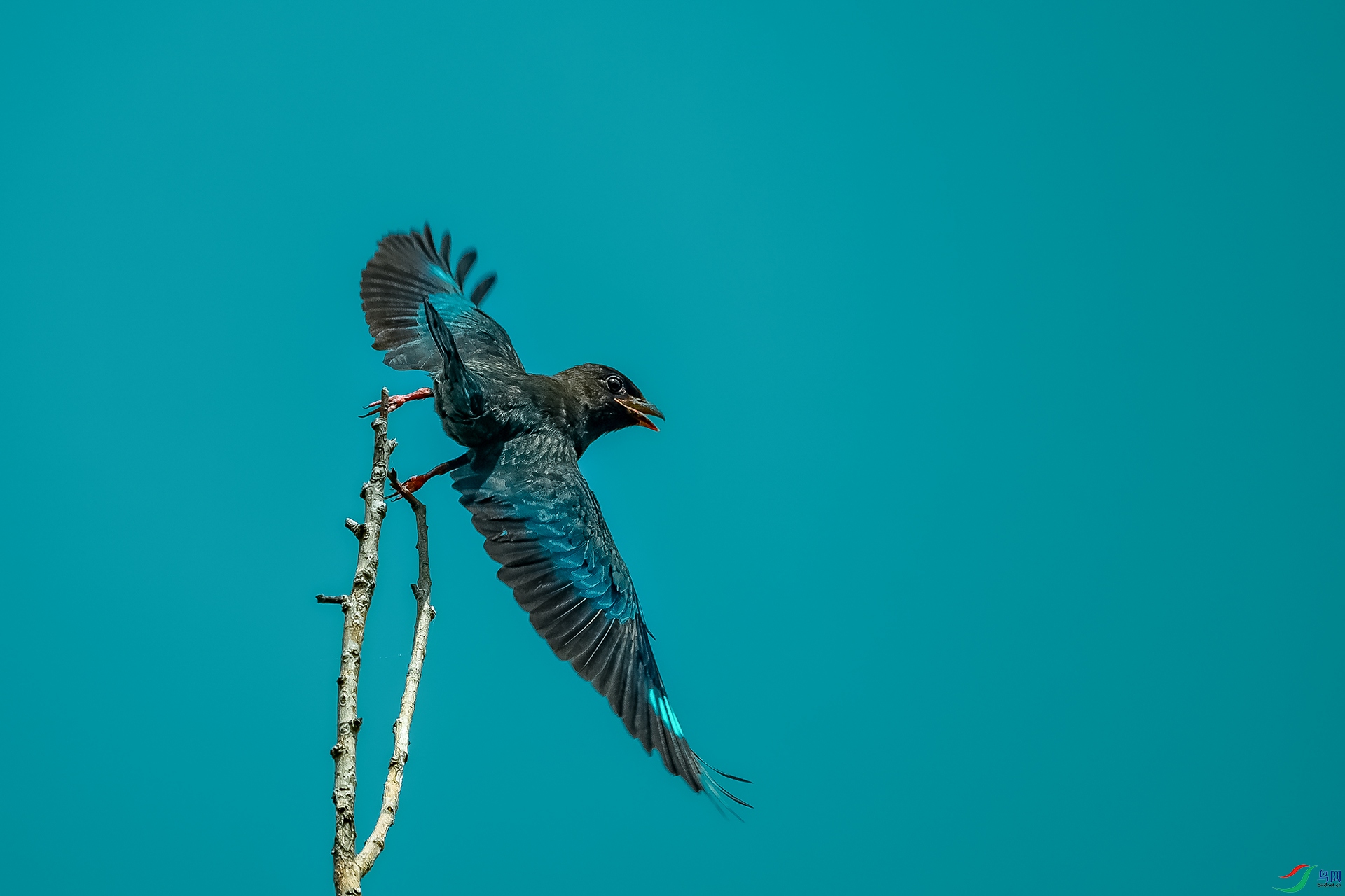 DSC_2363.jpg