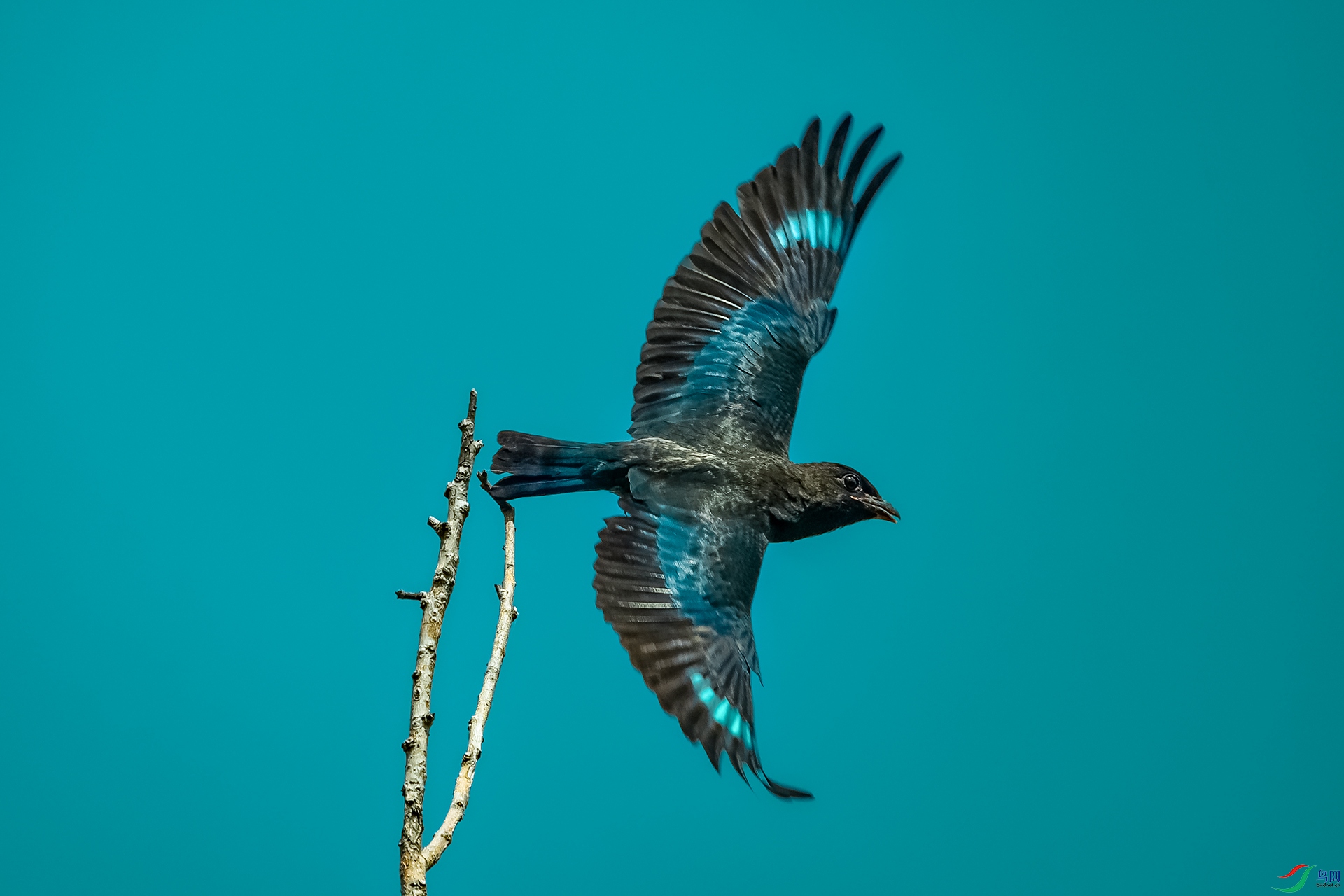 DSC_2376.jpg