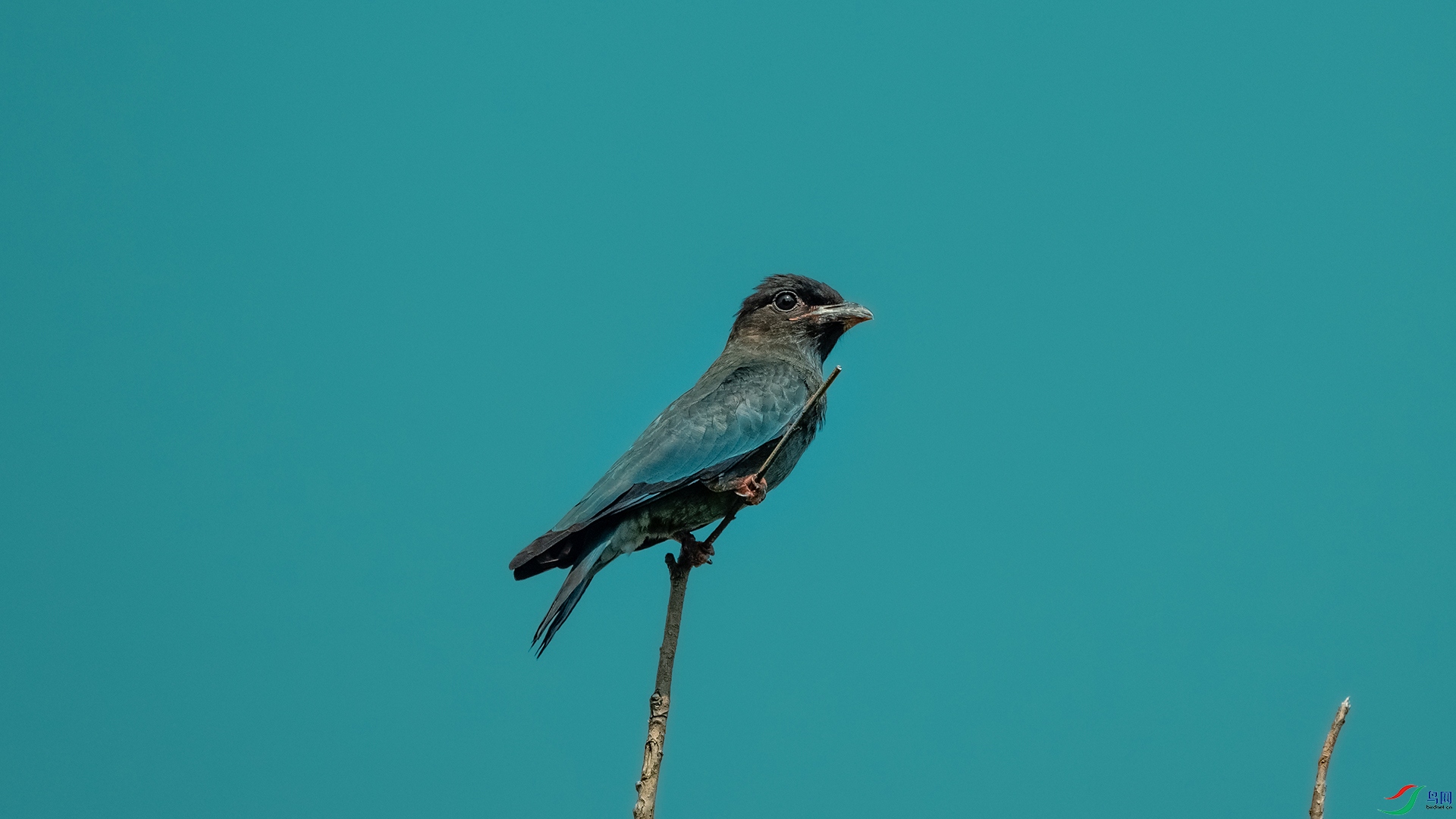 DSC_3167.jpg