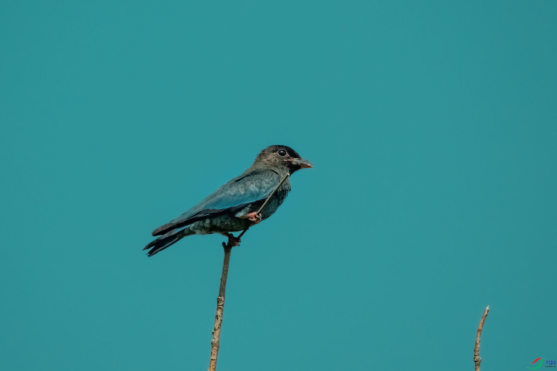 DSC_3187.jpg