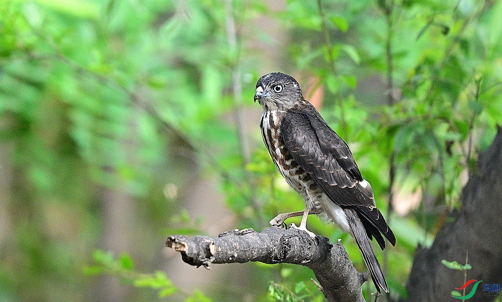 DSC_7993.JPG