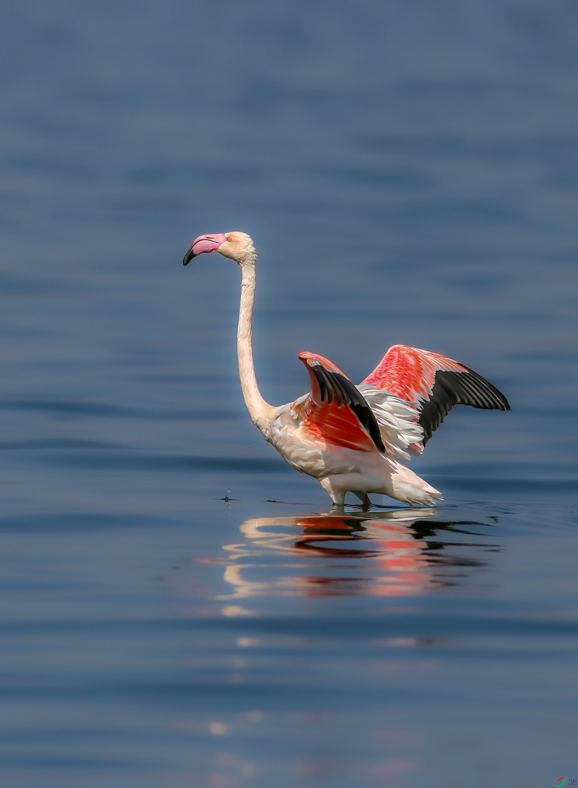 Canon EOS 5D Mark III_20180221_120208.Id_6c0000000000e7a.jpg