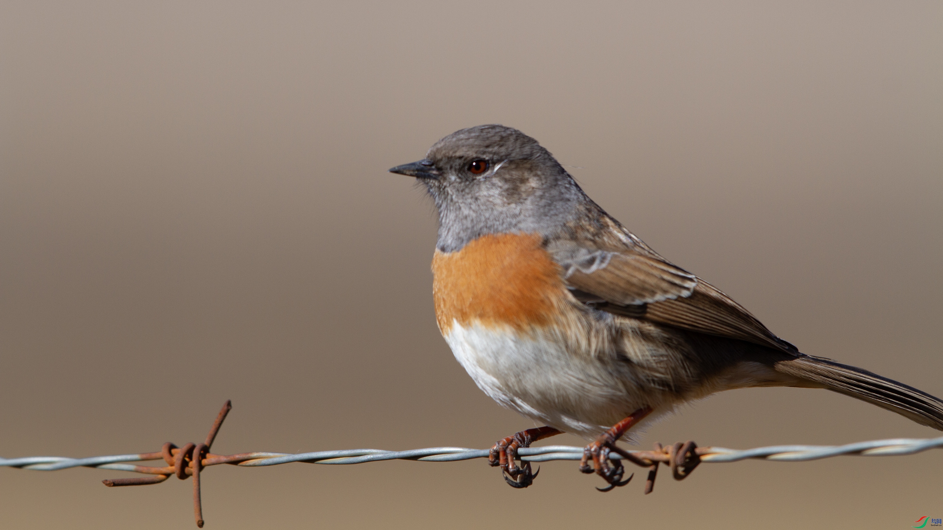 IMG_0883 ����.jpg