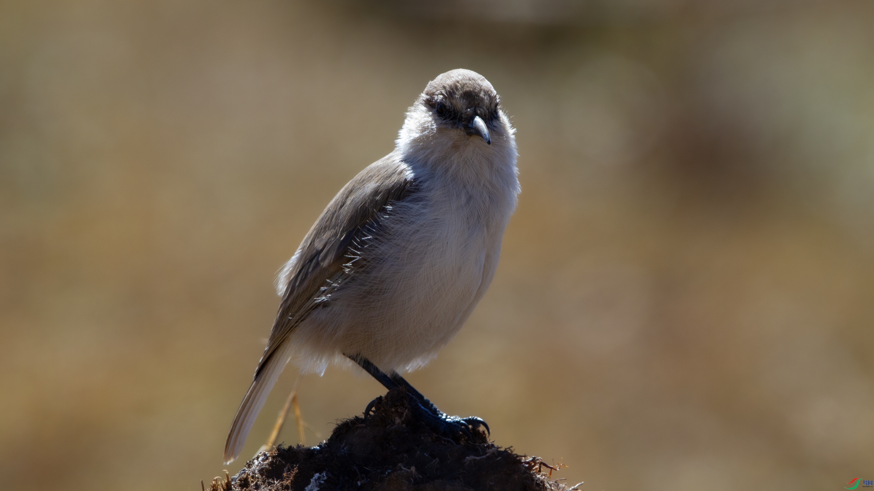 IMG_0543 ����.jpg