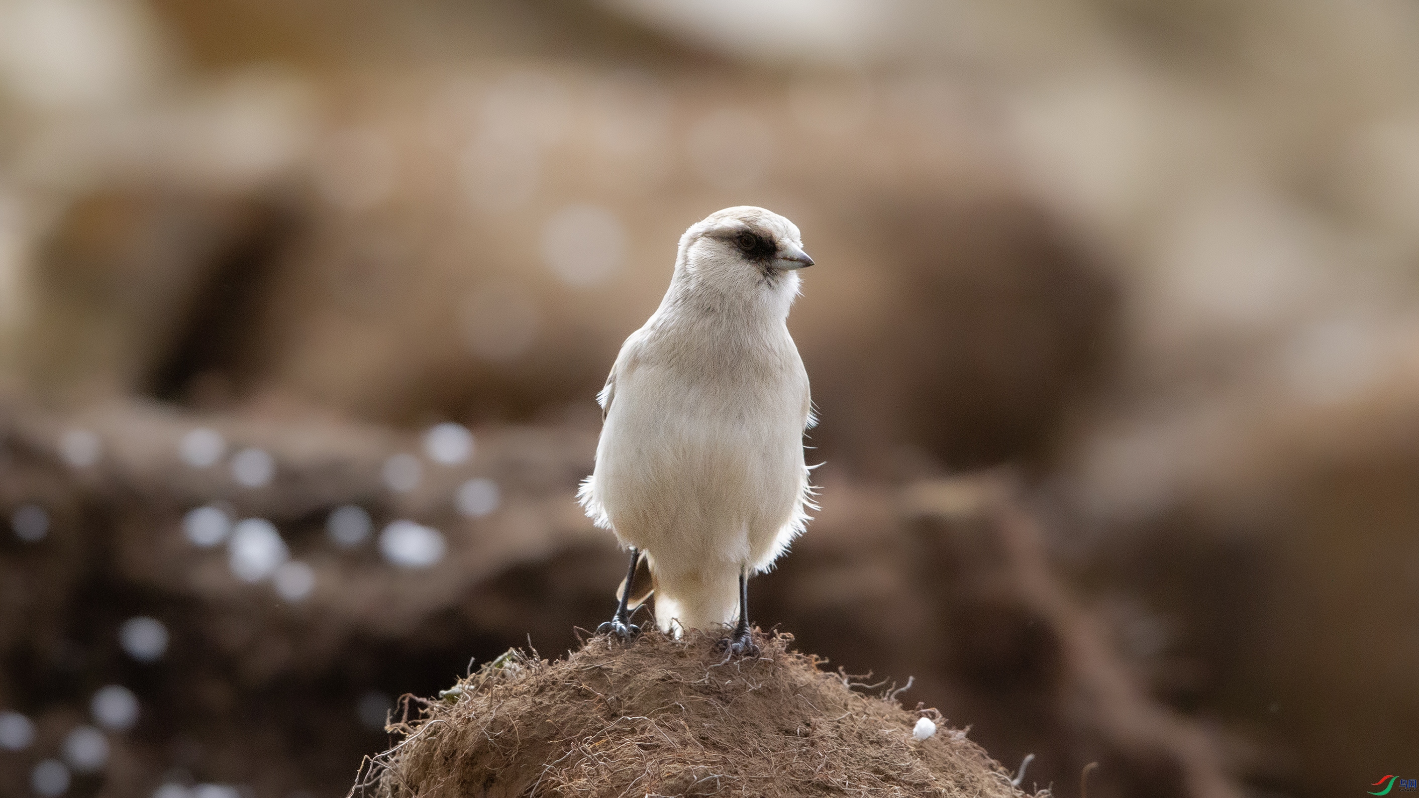 IMG_0415 ����.jpg