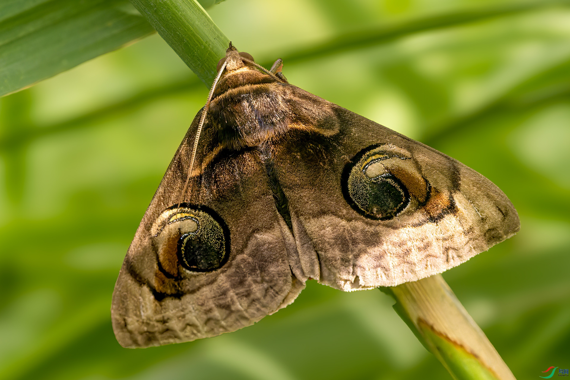 533A8722.jpg