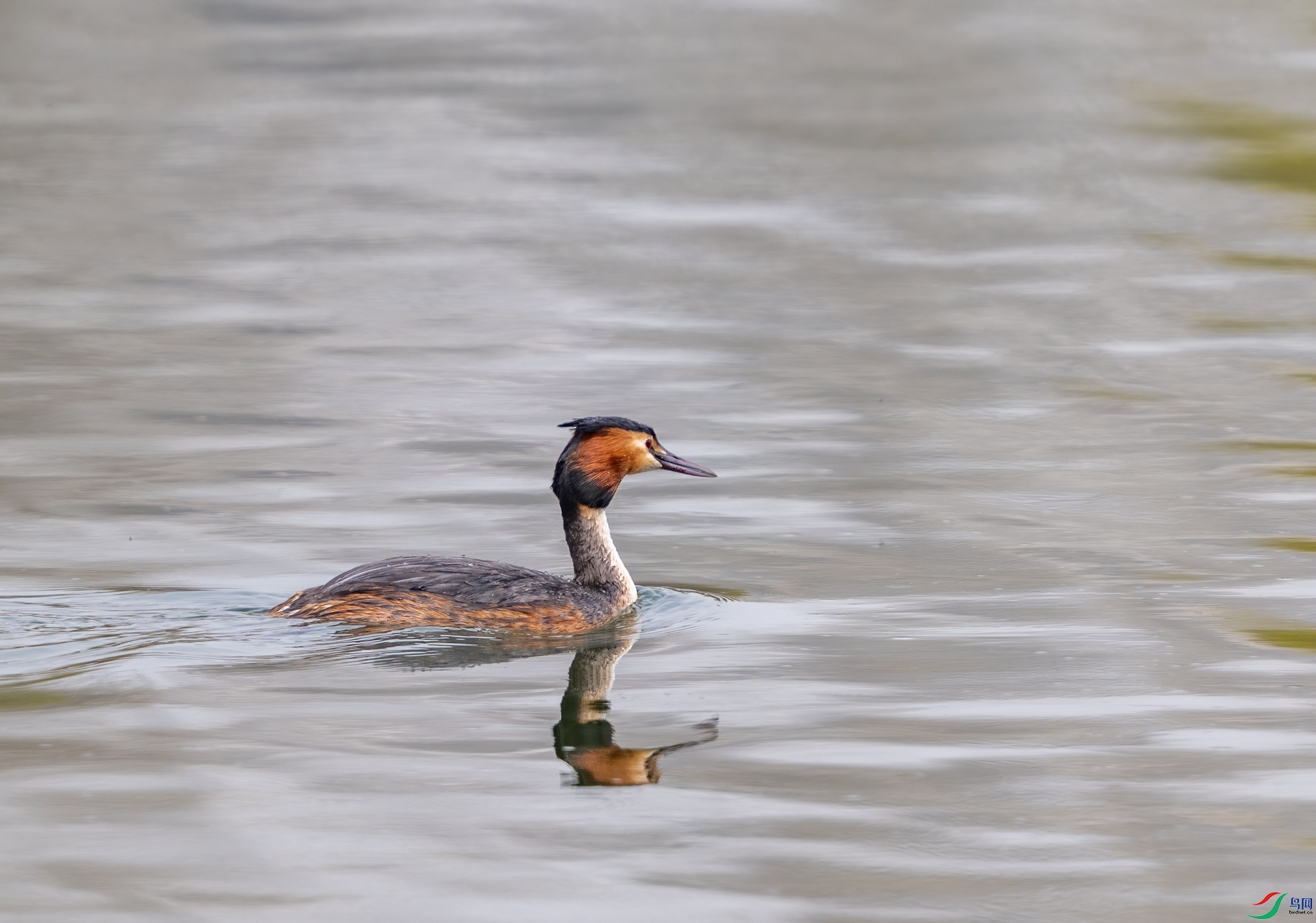 DSC_1801.jpg