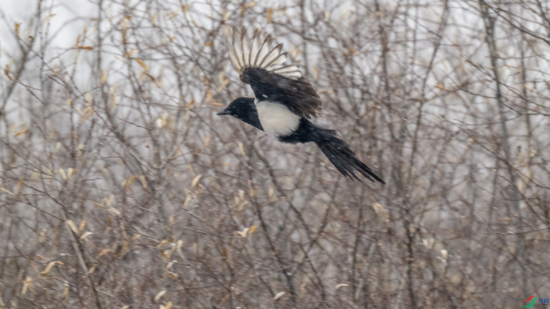 _DSC4121 ����_����.jpg