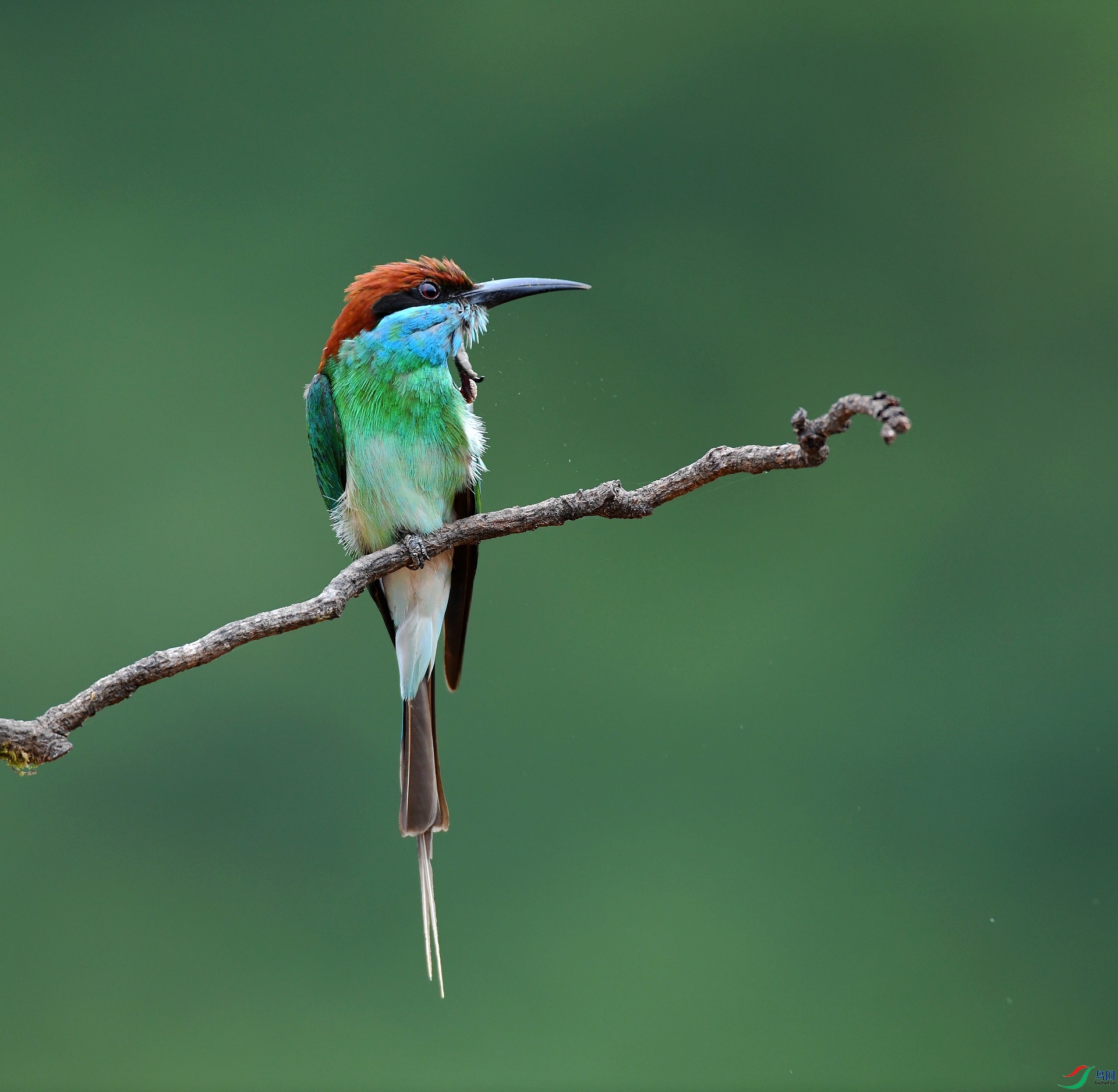 DSC_0860.jpg