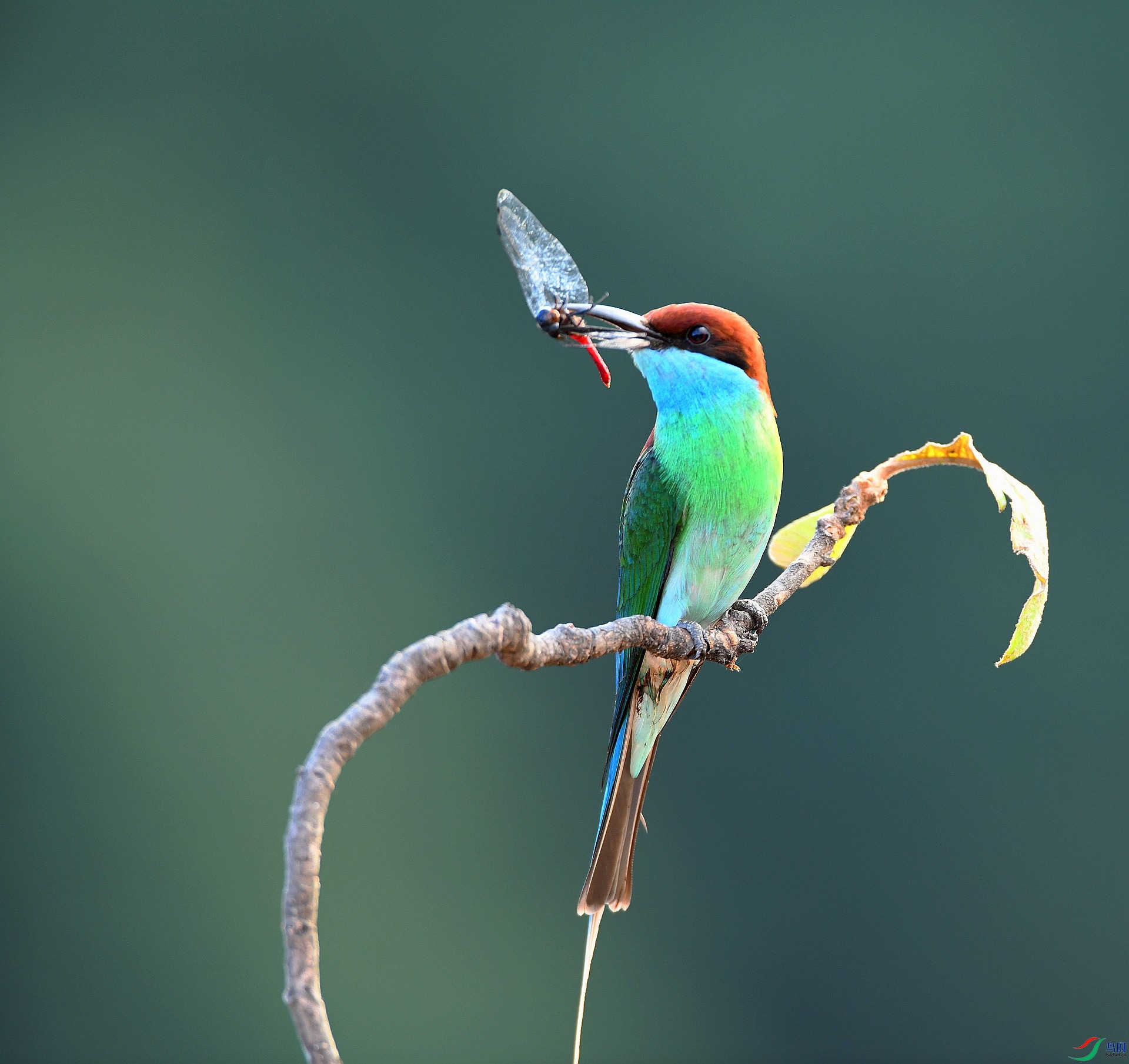 DSC_5121.jpg