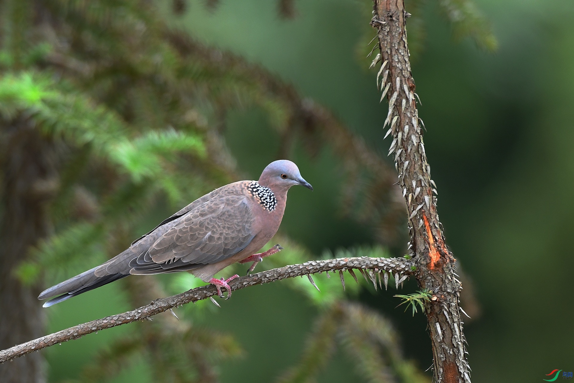 DSC_1055.jpg