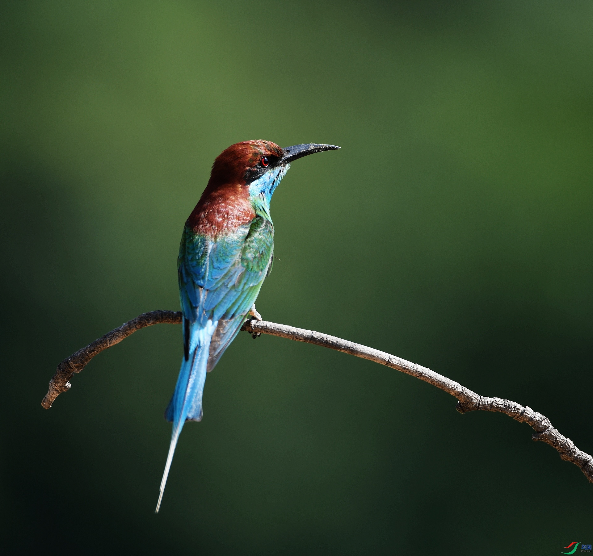 DSC_6507.jpg