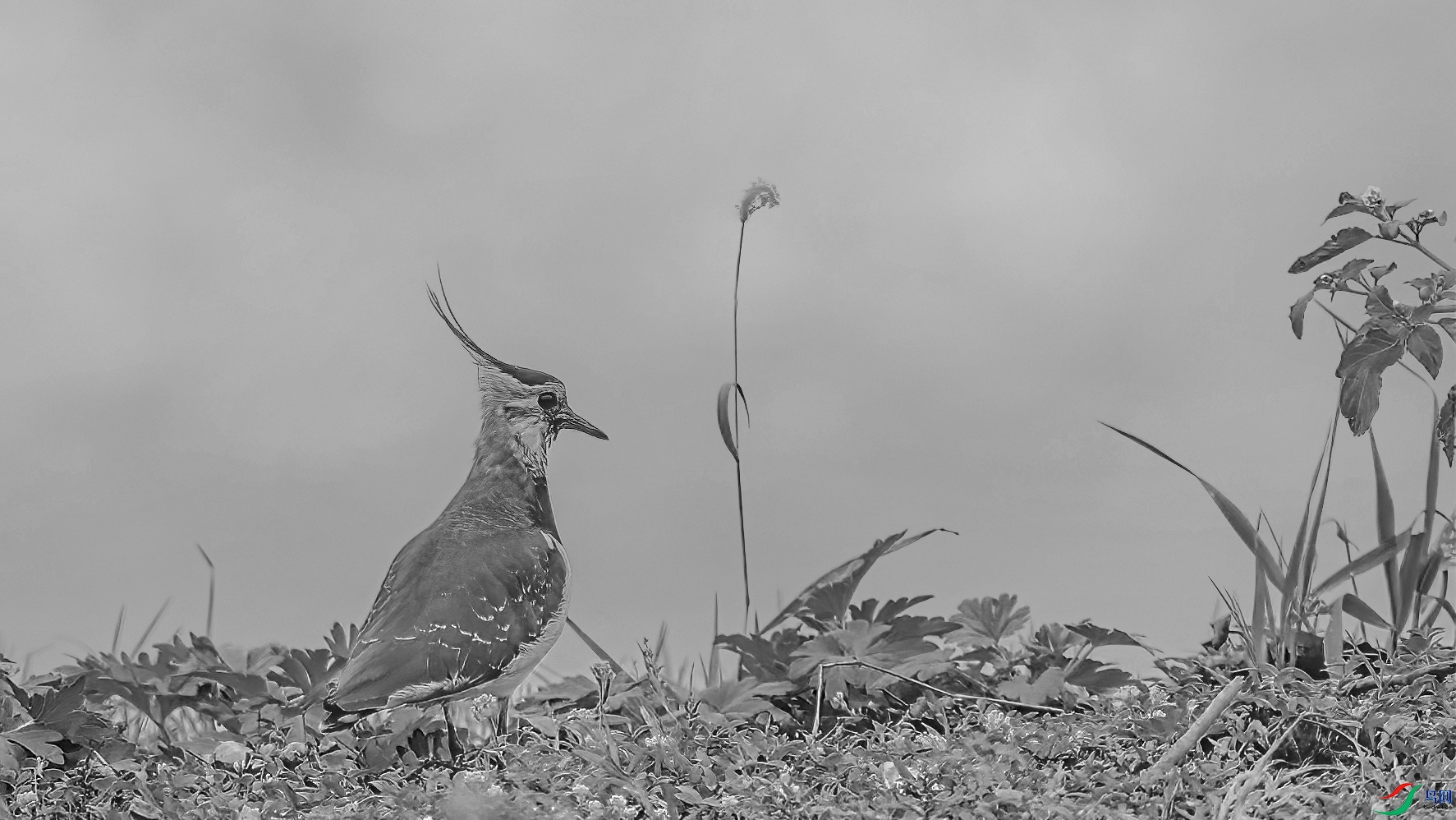 AE1V6121 ���� 1.jpg