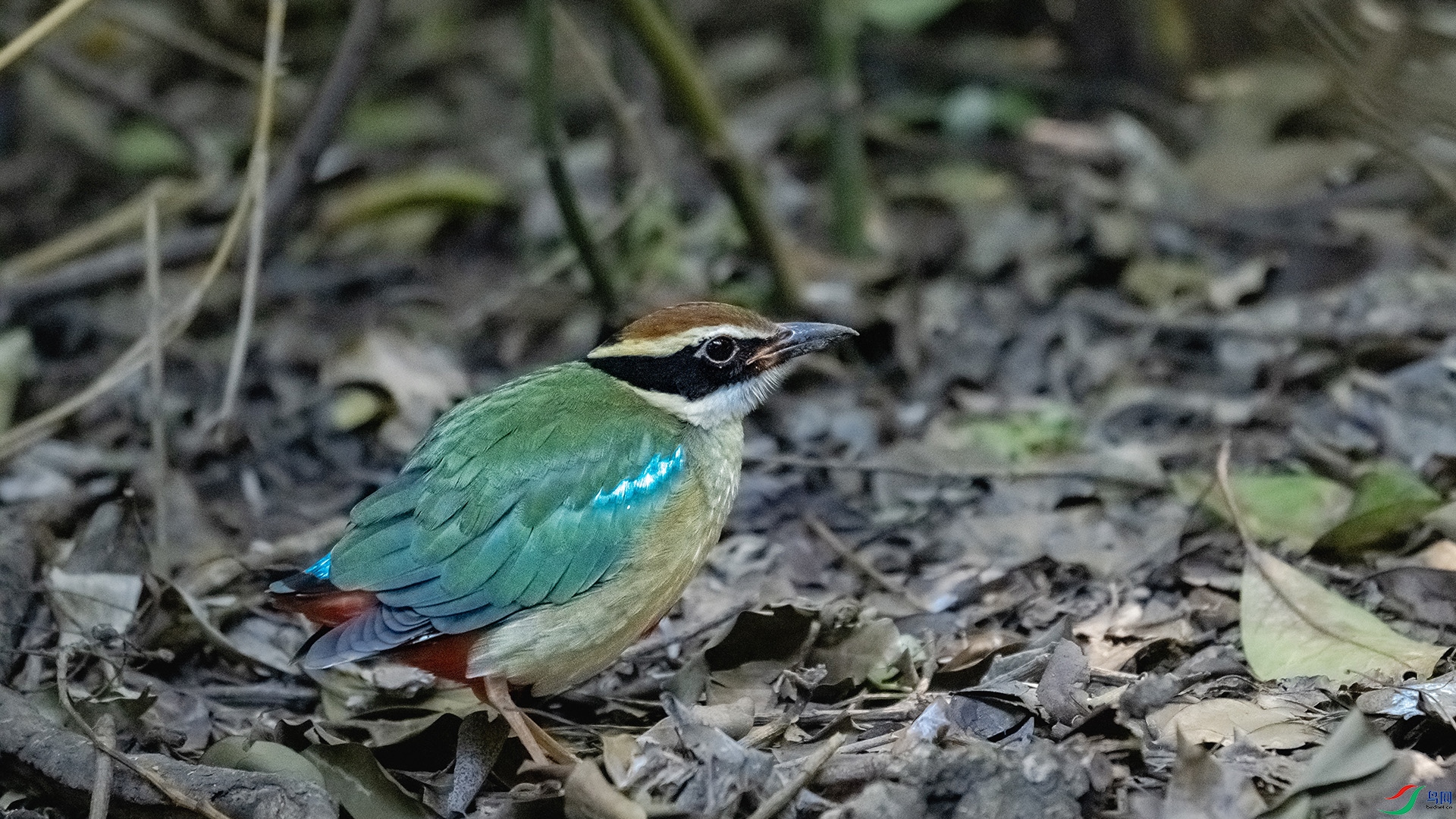DSC_8165.jpg