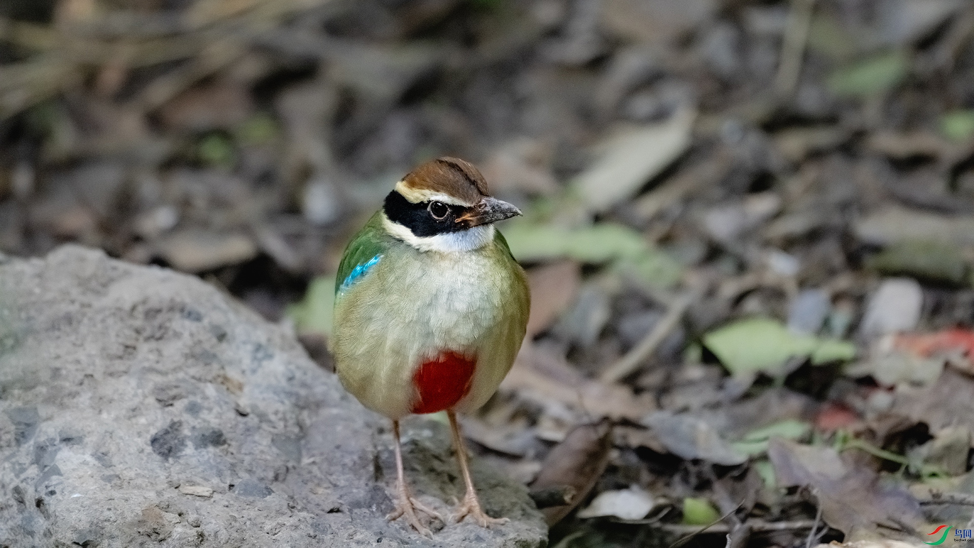 DSC_6813.jpg