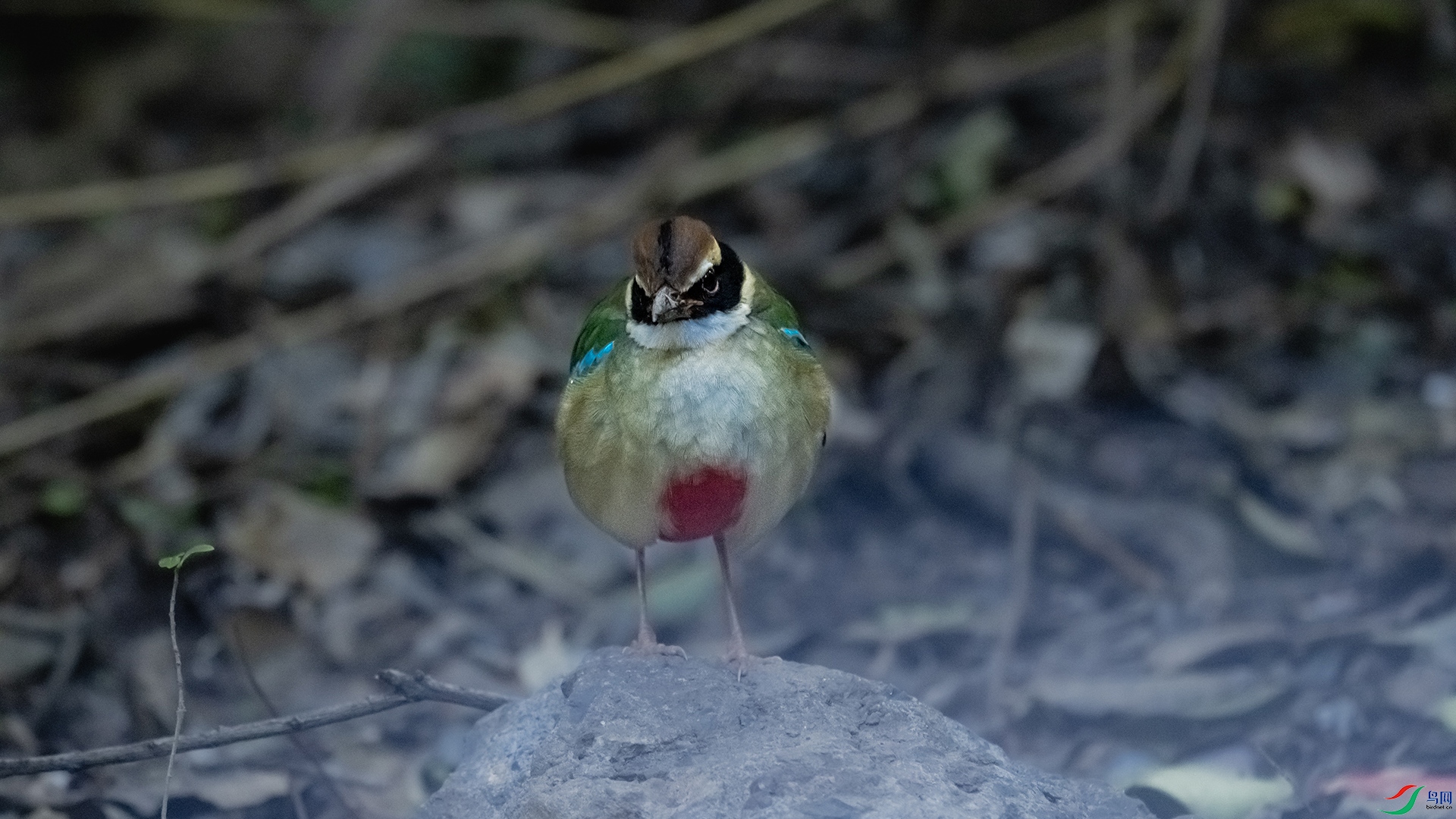 DSC_9986.jpg