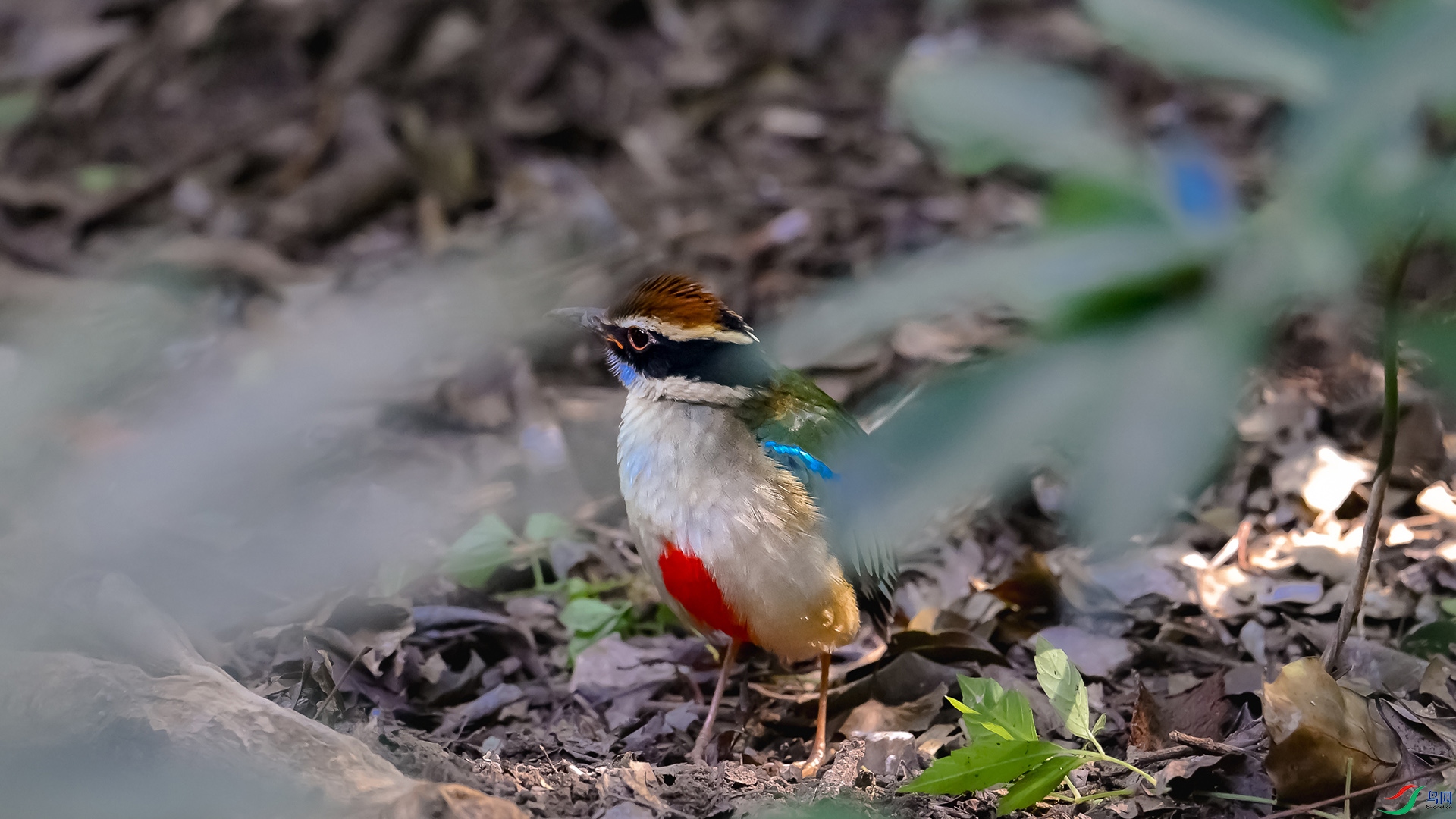 DSC_5332.jpg