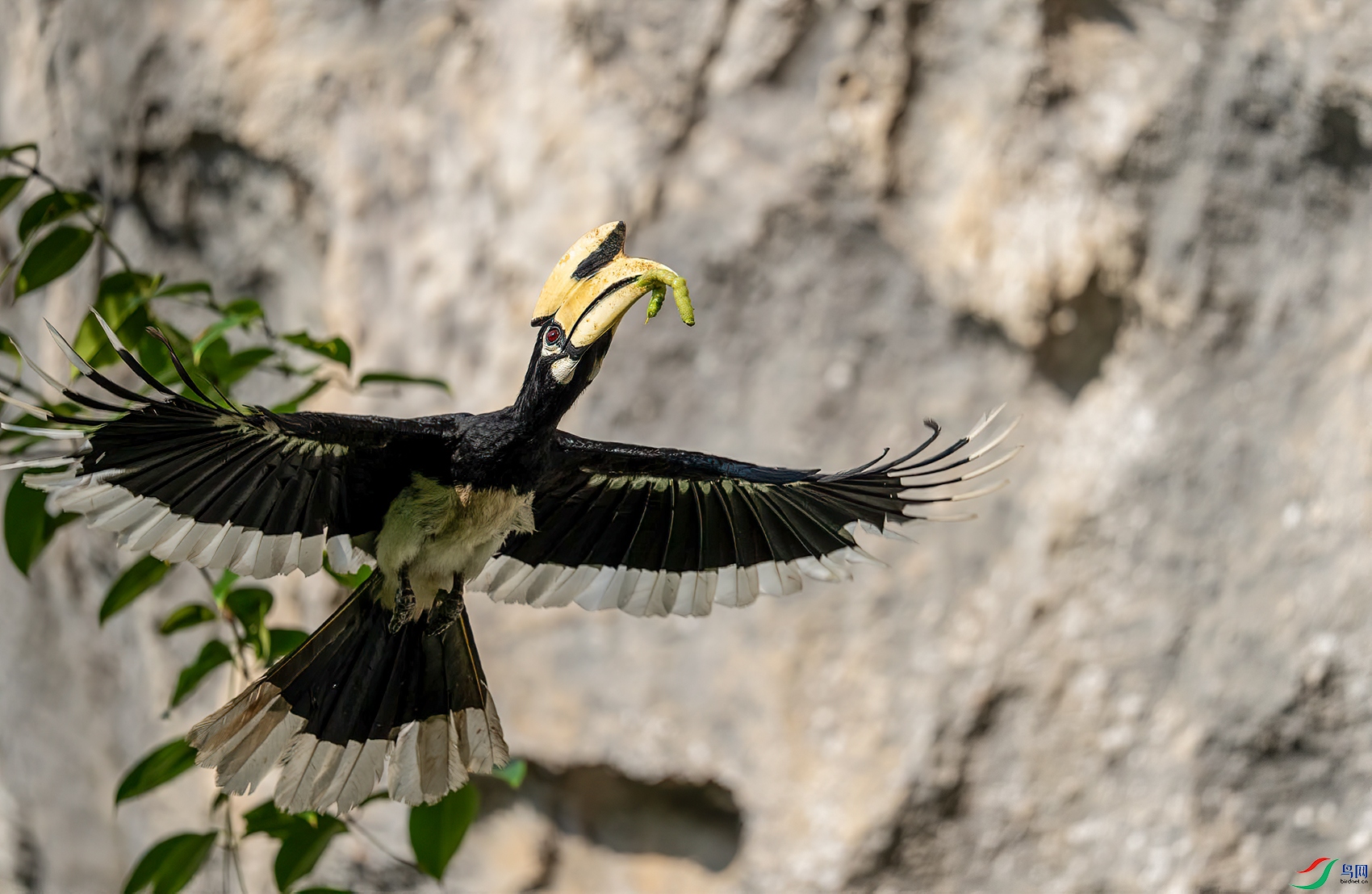 a00121.jpg