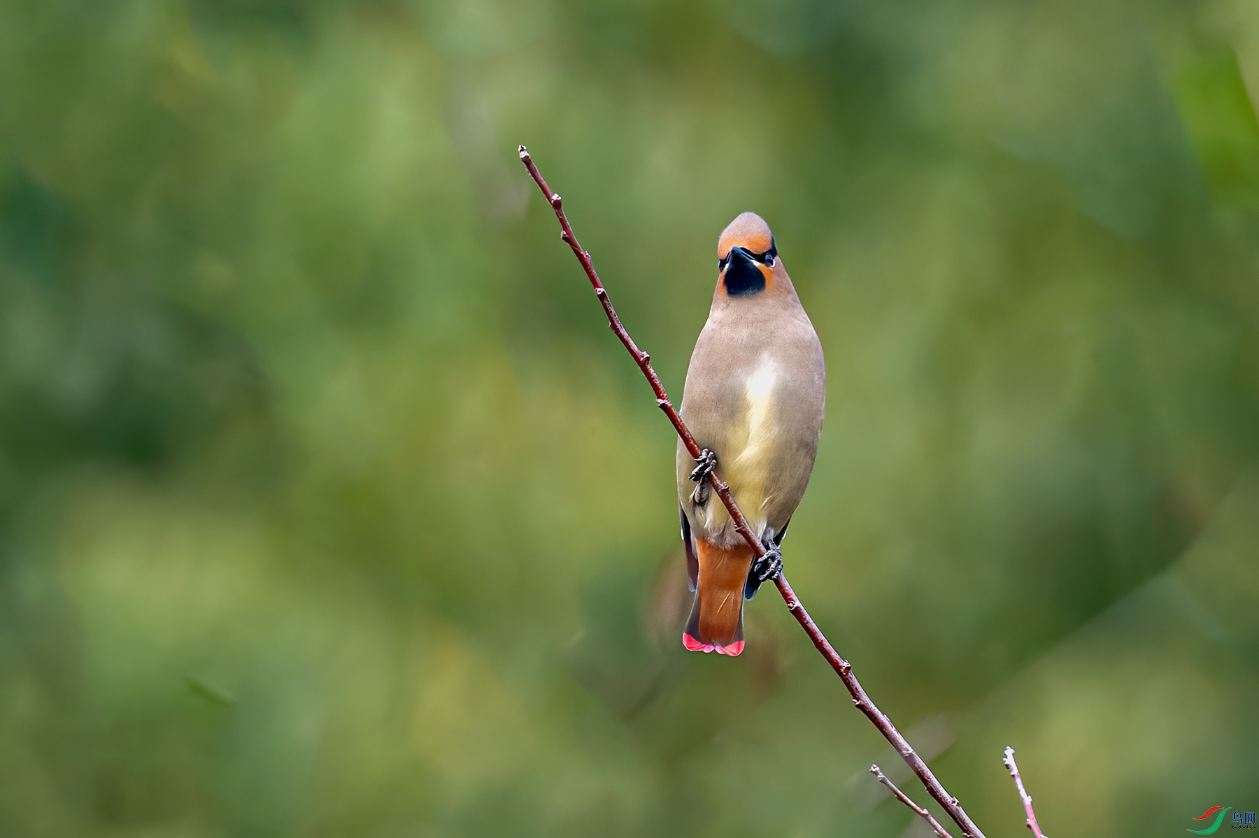 DSC_5569-11.jpg