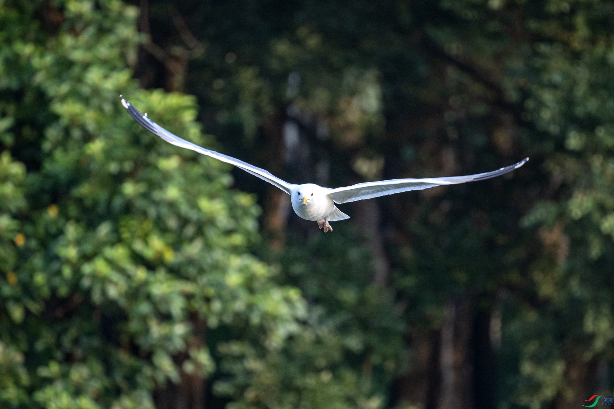 DSC_9818.jpg