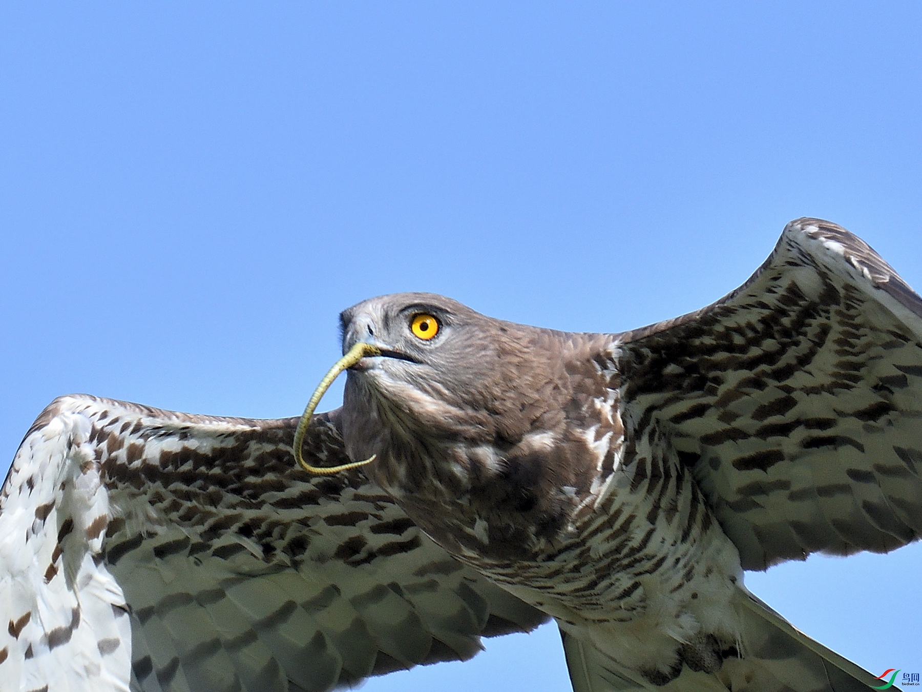 DSC_2036.JPG