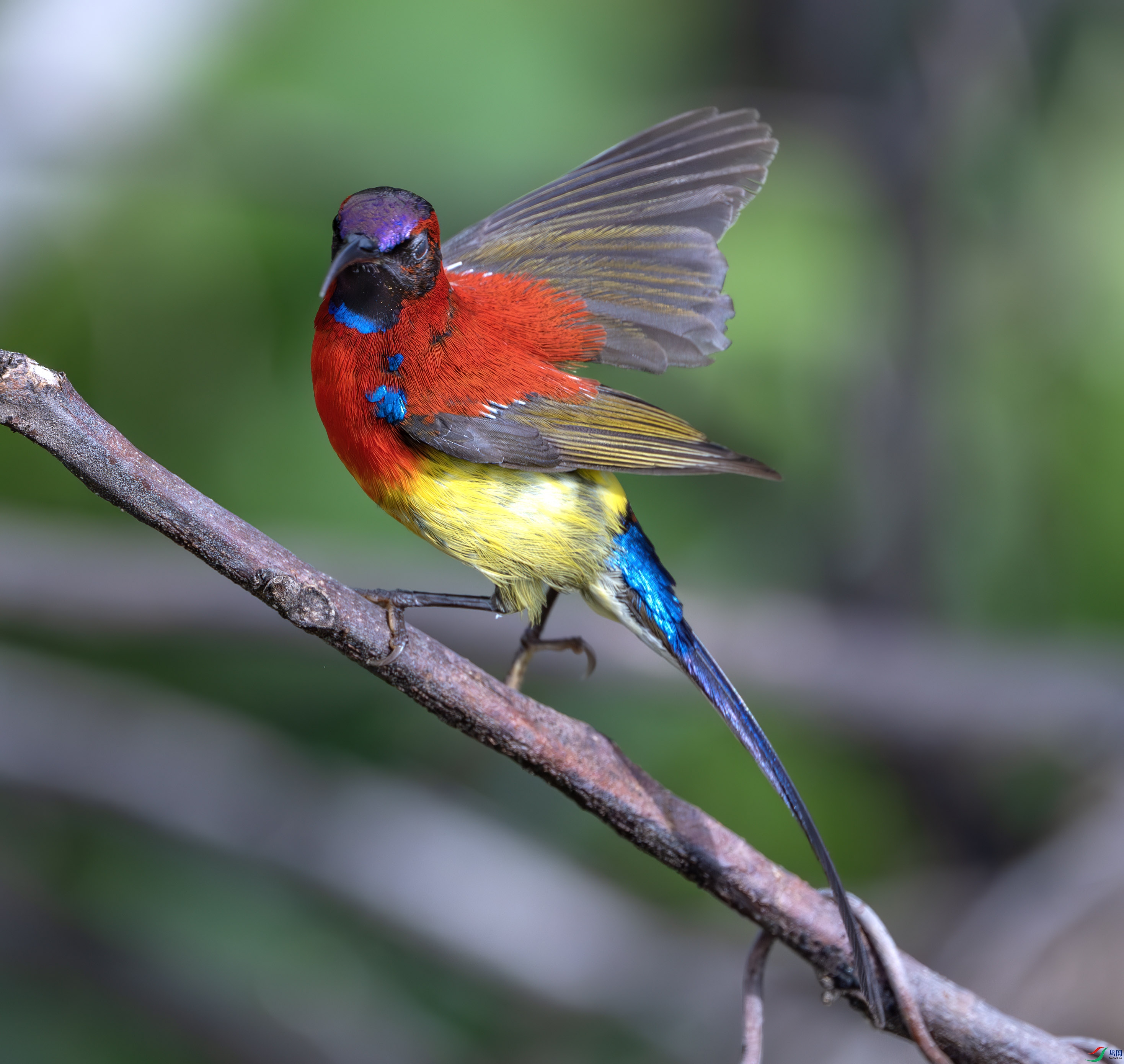 Y25_3041-����ǿ-NR ����.jpg