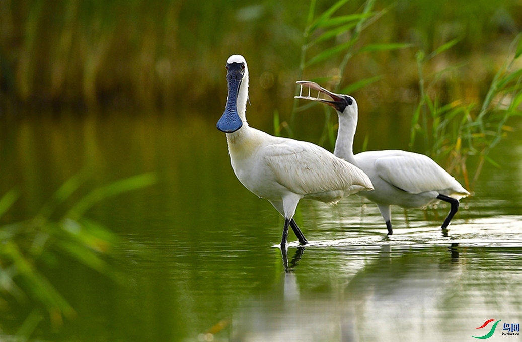 ˦������Сβ�͡�