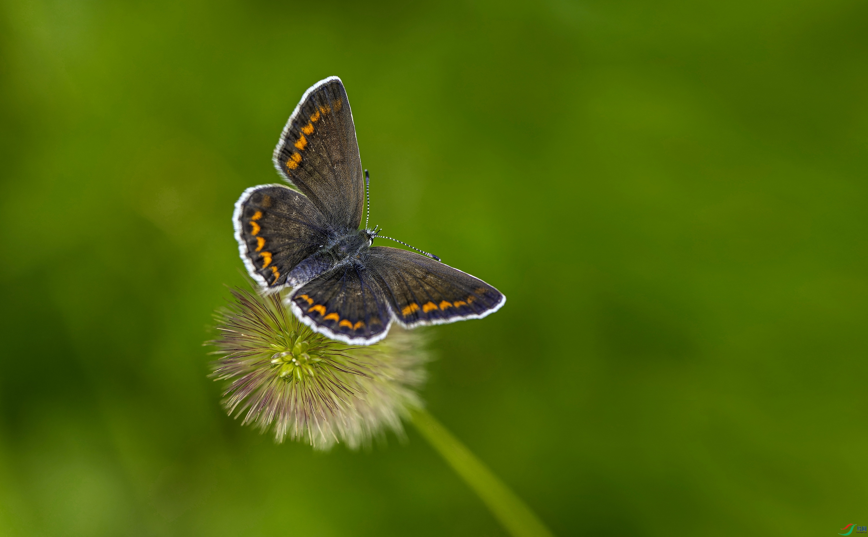 ���ۻҵ� 1-1.jpg