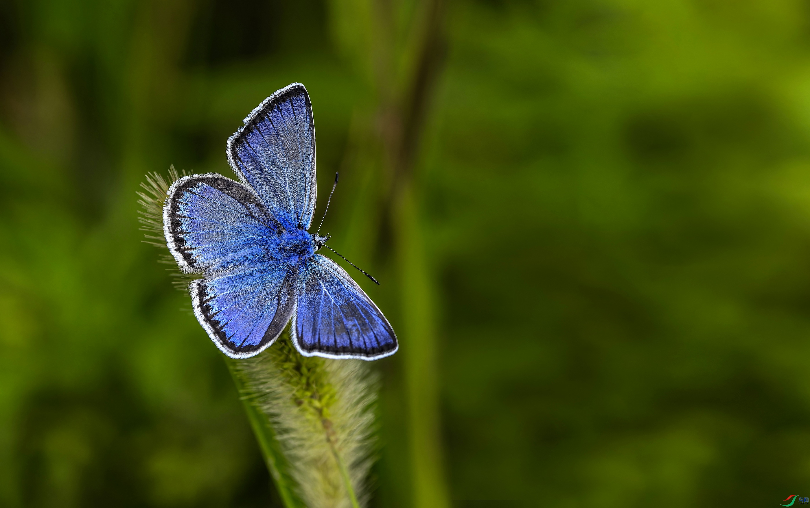 ���ۻҵ� 2-1.jpg