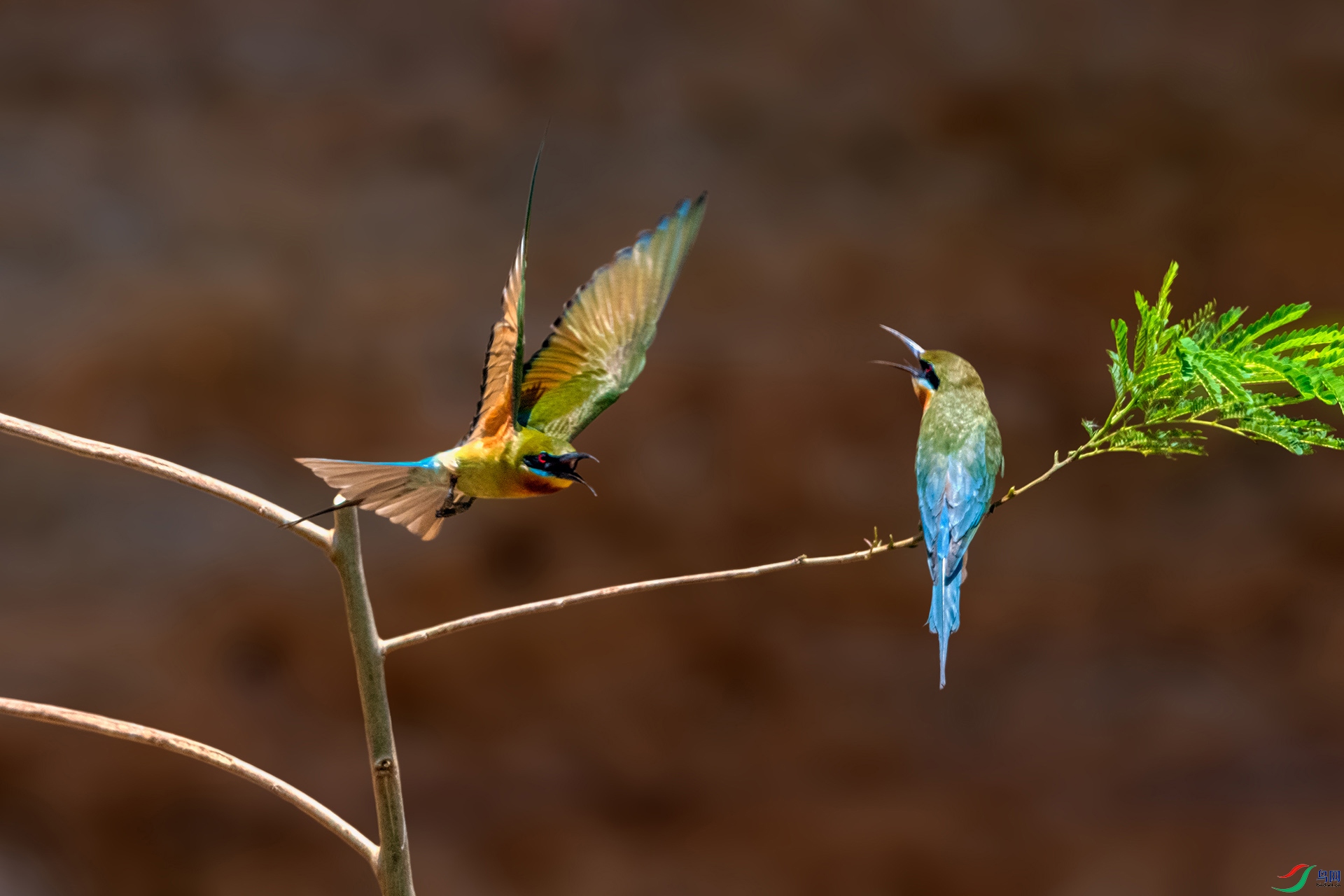 _AUU3430 �����仢(25.5.10).jpg