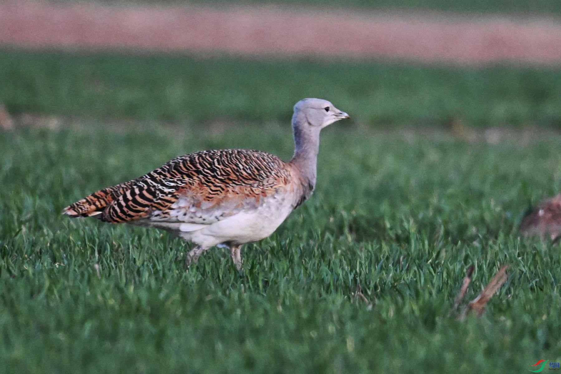 DSC_1856.JPG