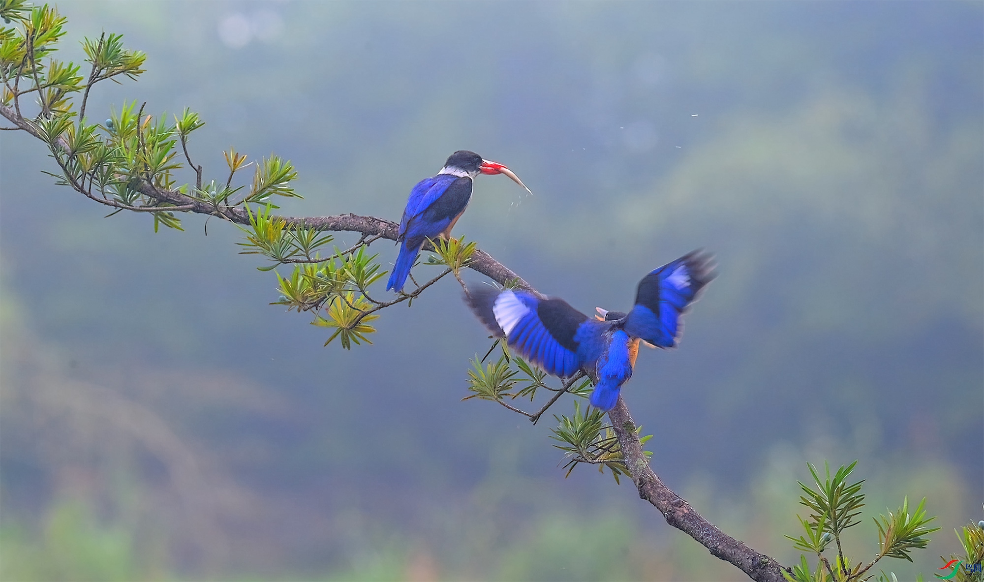 8��15�� (4)(1).jpg