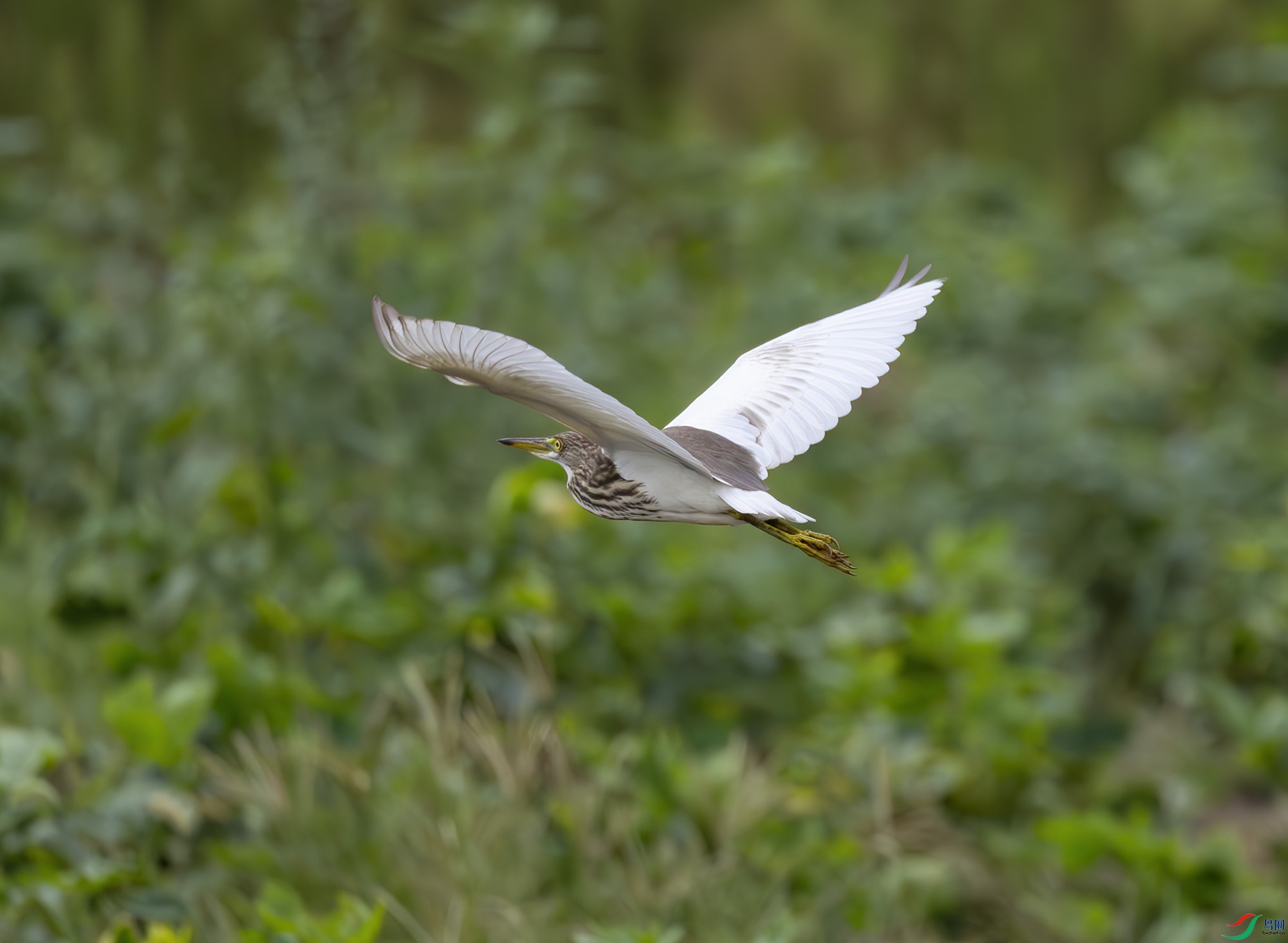 G47A0488-����ǿ-NR ����.jpg